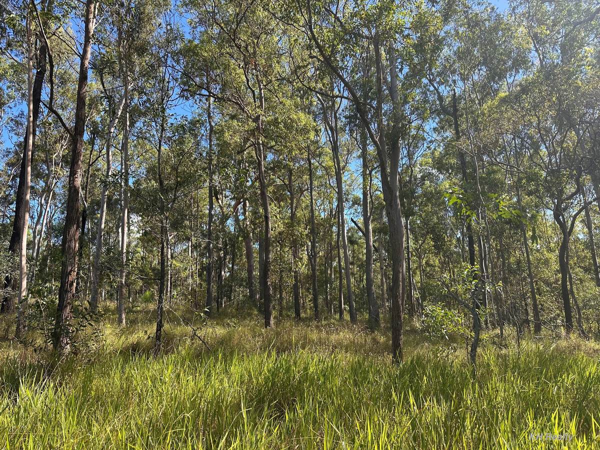 Lot 753 Arbortwentyeight Road, Glenwood For Sale by Farmbuy.com - image 2