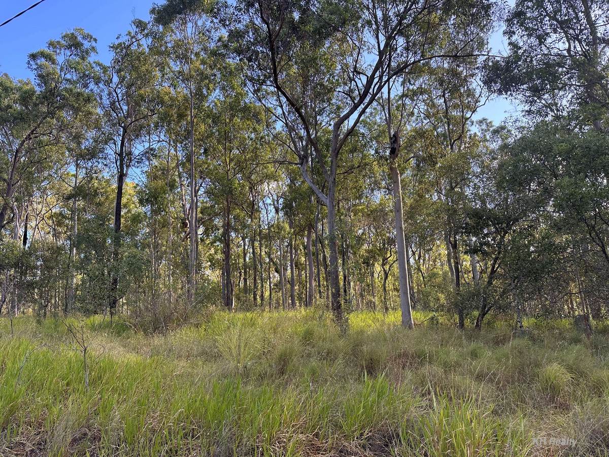 Lot 753 Arbortwentyeight Road, Glenwood For Sale by Farmbuy.com - image 10