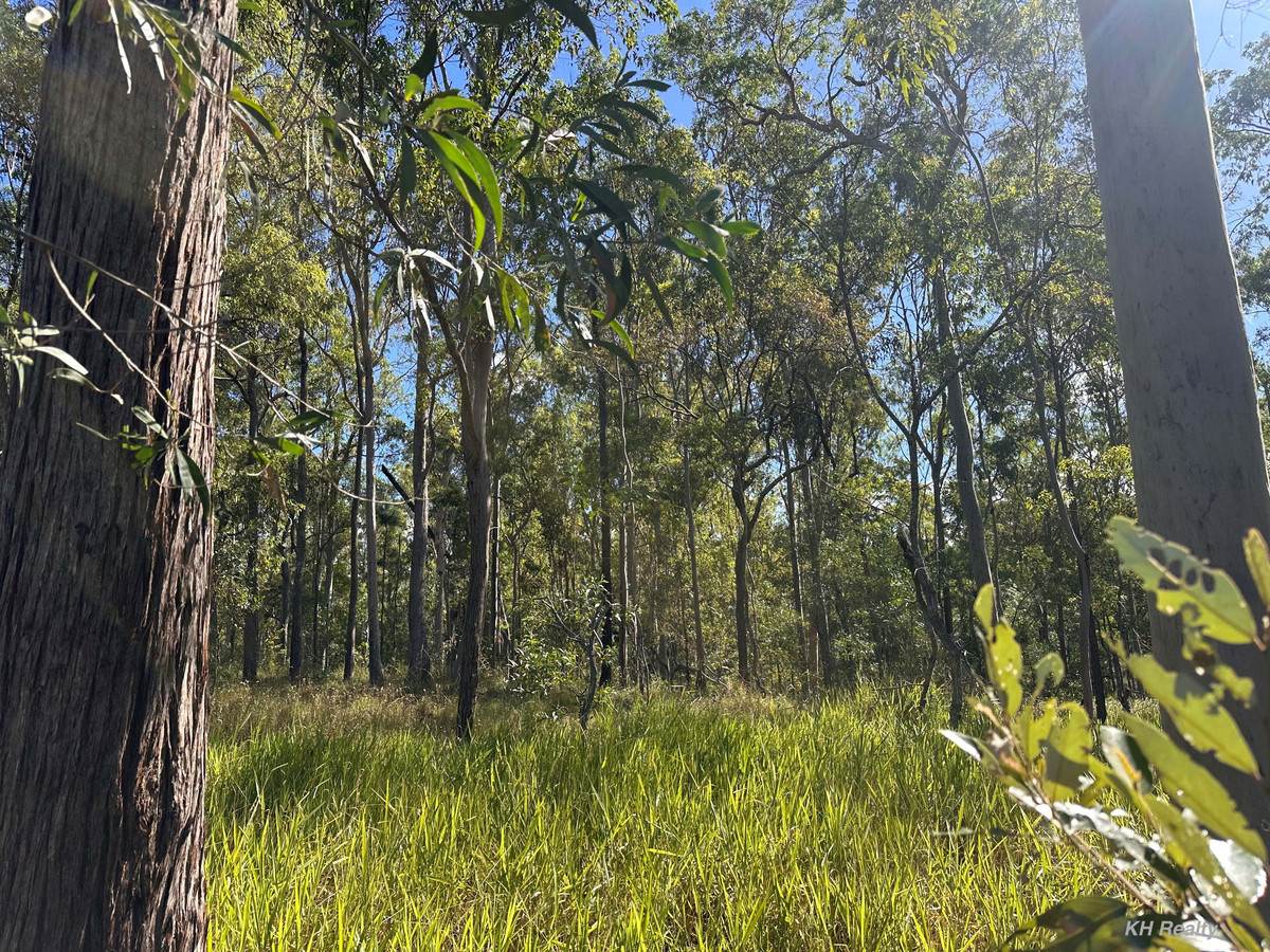 Lot 753 Arbortwentyeight Road, Glenwood For Sale by Farmbuy.com - image 3