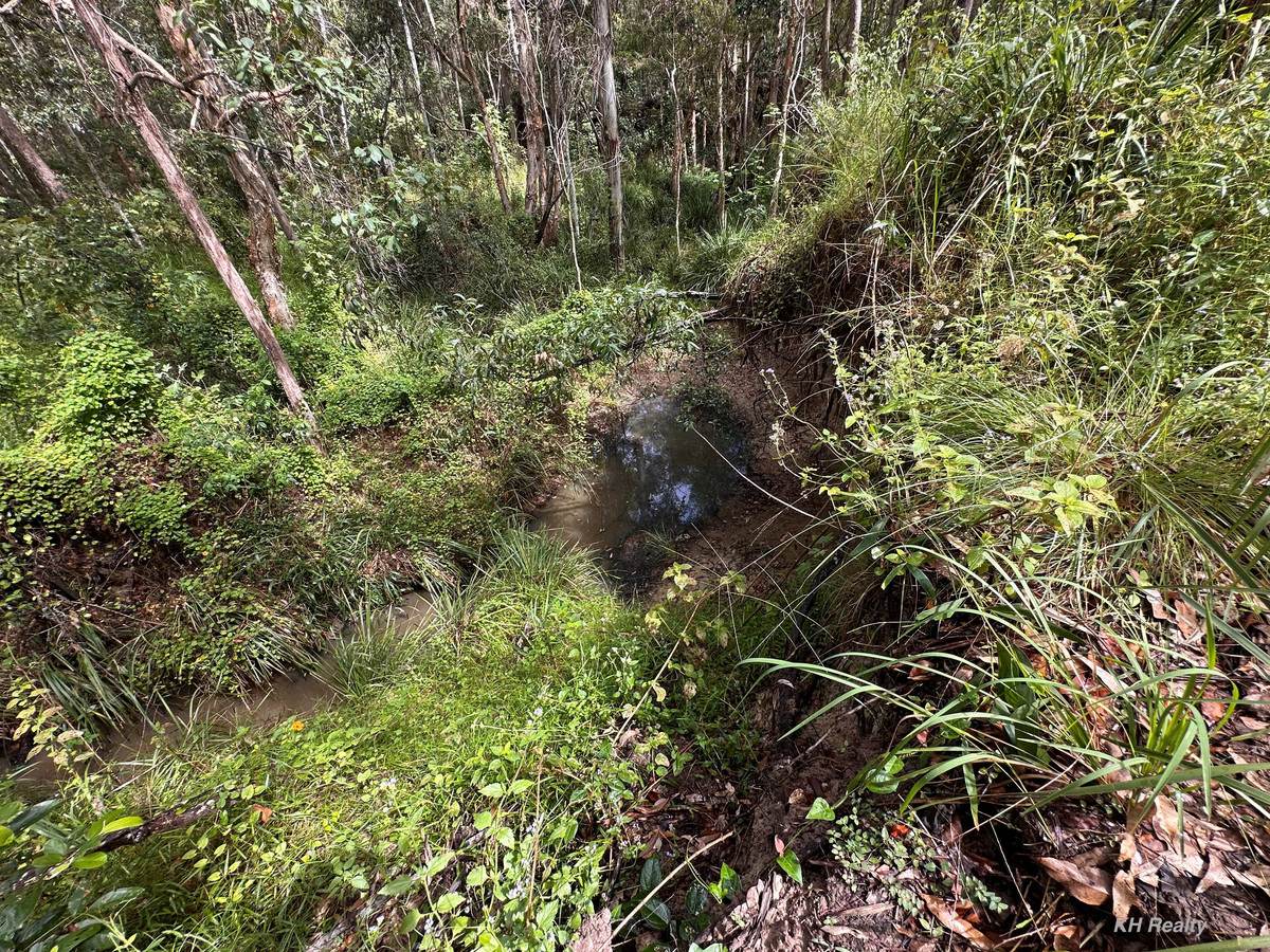 Lot 753 Arbortwentyeight Road, Glenwood For Sale by Farmbuy.com - image 12