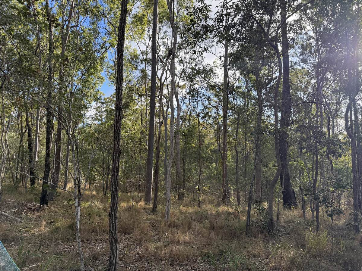 Lot 753 Arbortwentyeight Road, Glenwood For Sale by Farmbuy.com - image 8