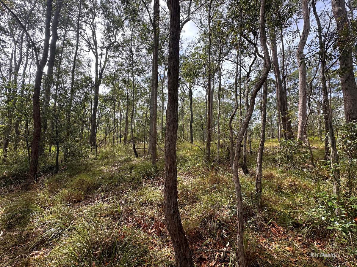 Lot 753 Arbortwentyeight Road, Glenwood For Sale by Farmbuy.com - image 9