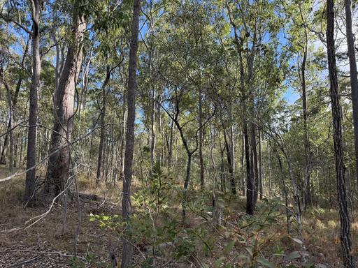 Lot 753 Arbortwentyeight Road, Glenwood QLD 4570