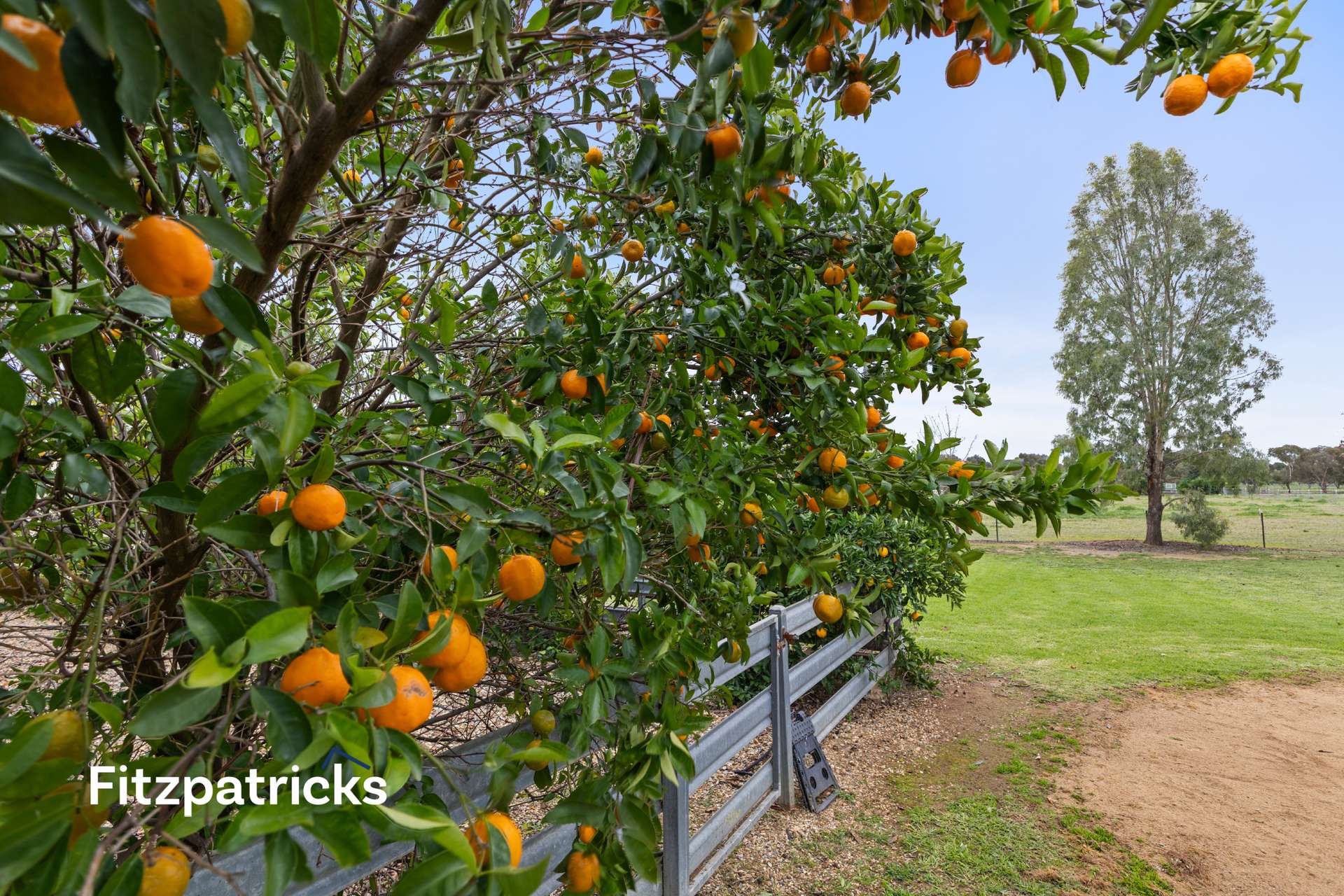 62 Rosevale Drive, Lake Albert For Sale by Farmbuy.com - image 17