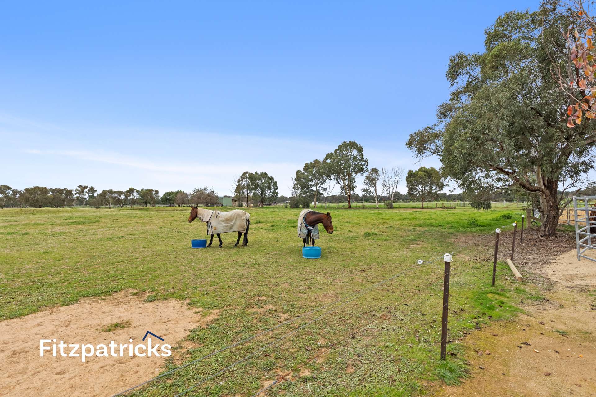 62 Rosevale Drive, Lake Albert For Sale by Farmbuy.com - image 24