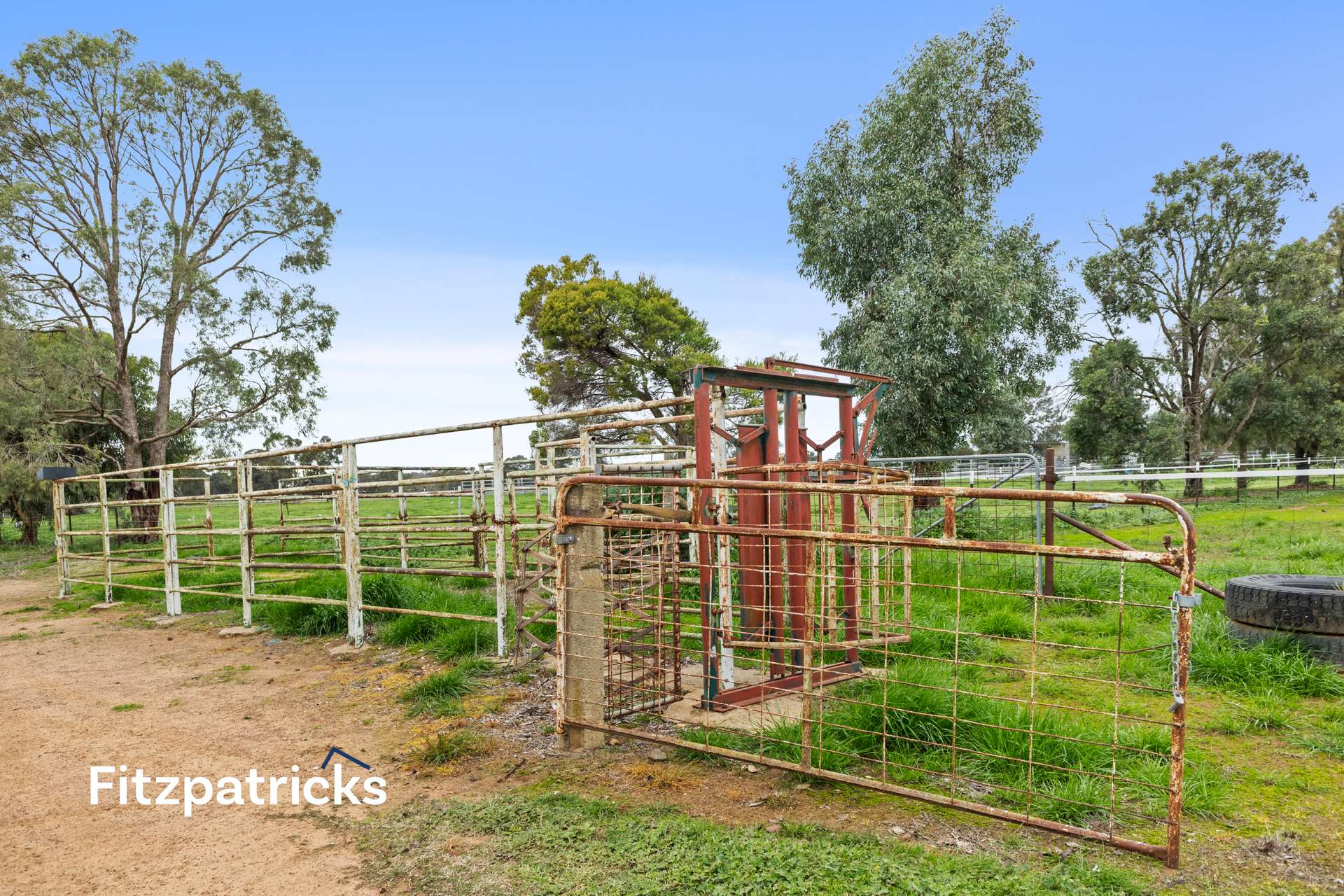 62 Rosevale Drive, Lake Albert For Sale by Farmbuy.com - image 18
