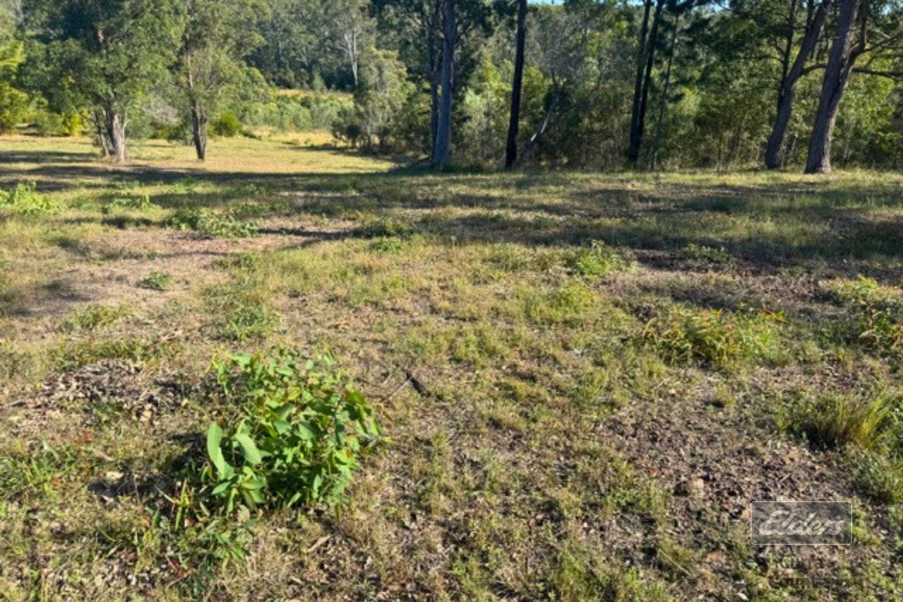 Lot 113 Arborfive Road, Glenwood For Sale by Farmbuy.com - image 13