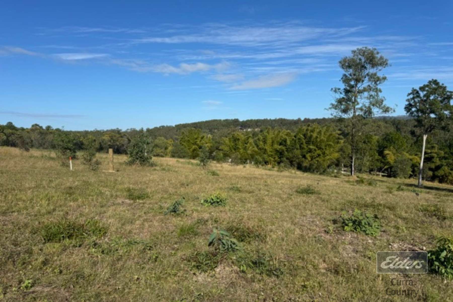 Lot 113 Arborfive Road, Glenwood For Sale by Farmbuy.com - image 10