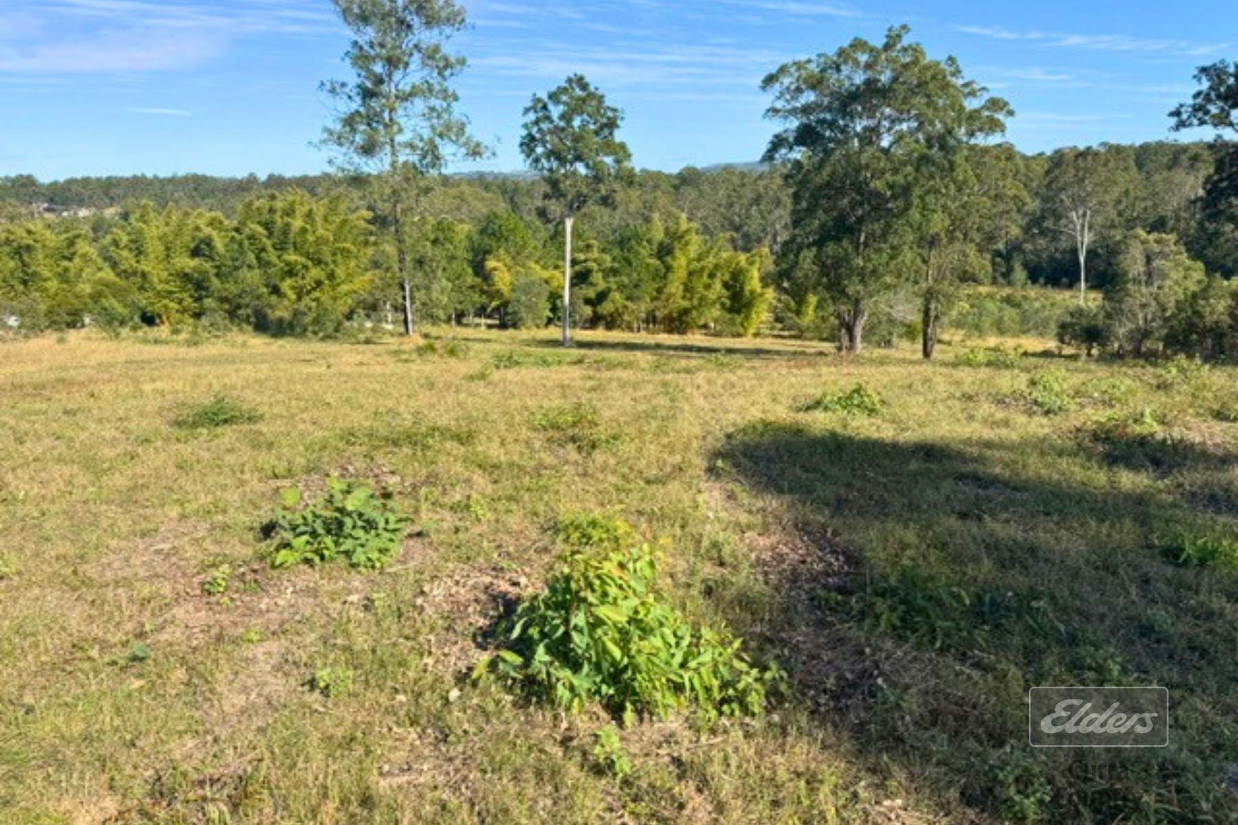 Lot 113 Arborfive Road, Glenwood For Sale by Farmbuy.com - image 11