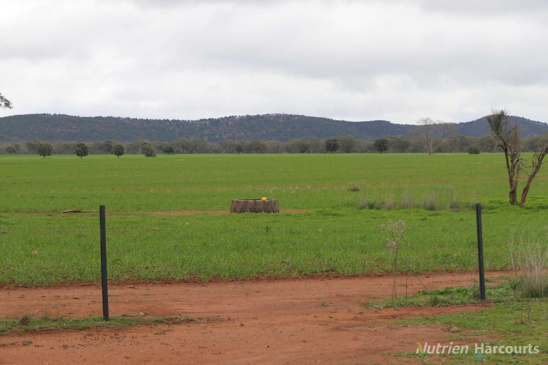 386 Sarona Downs Road, Hermidale For Sale by Farmbuy.com - image 32