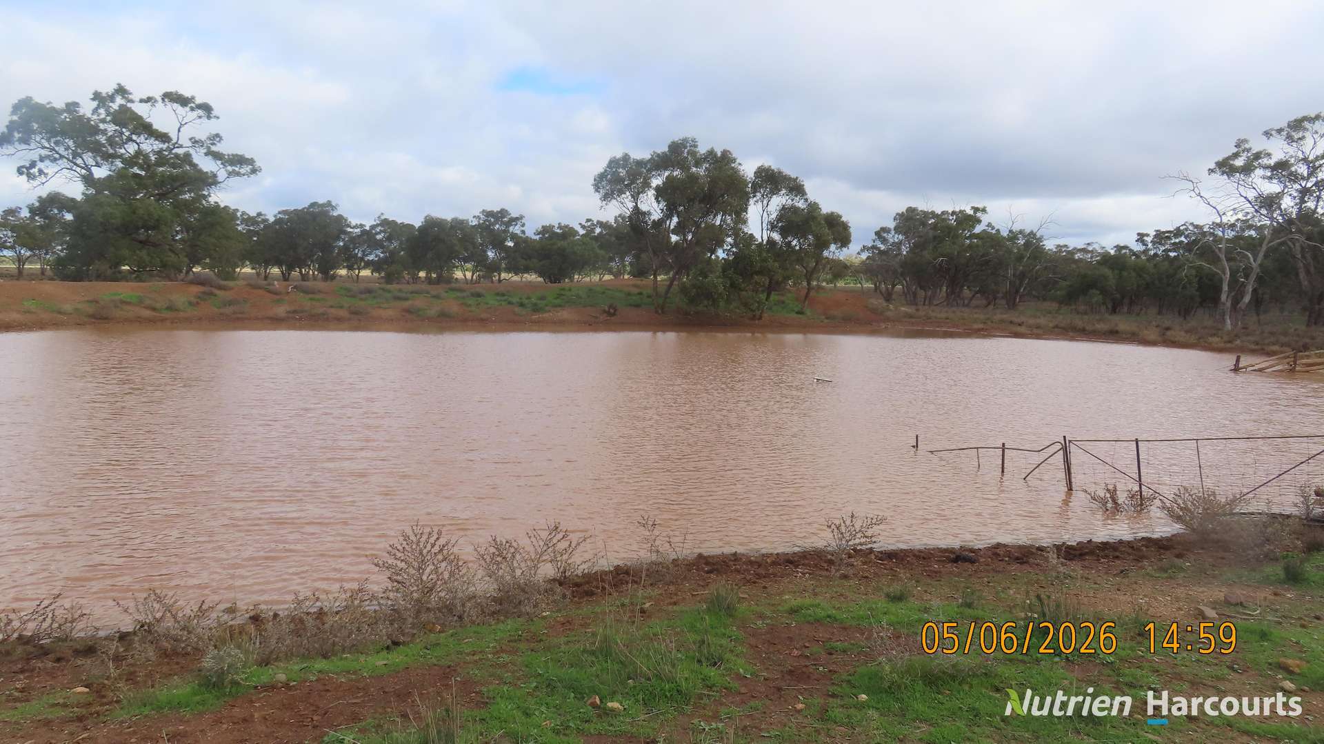 386 Sarona Downs Road, Hermidale For Sale by Farmbuy.com - image 8