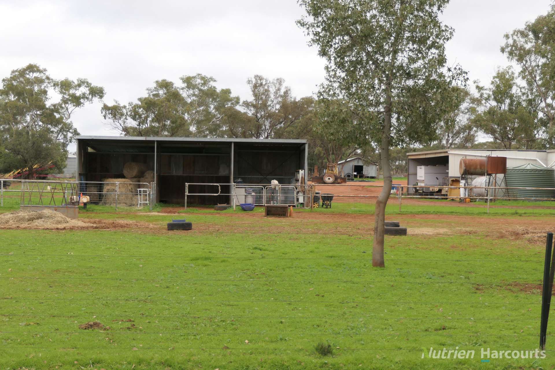 386 Sarona Downs Road, Hermidale For Sale by Farmbuy.com - image 28