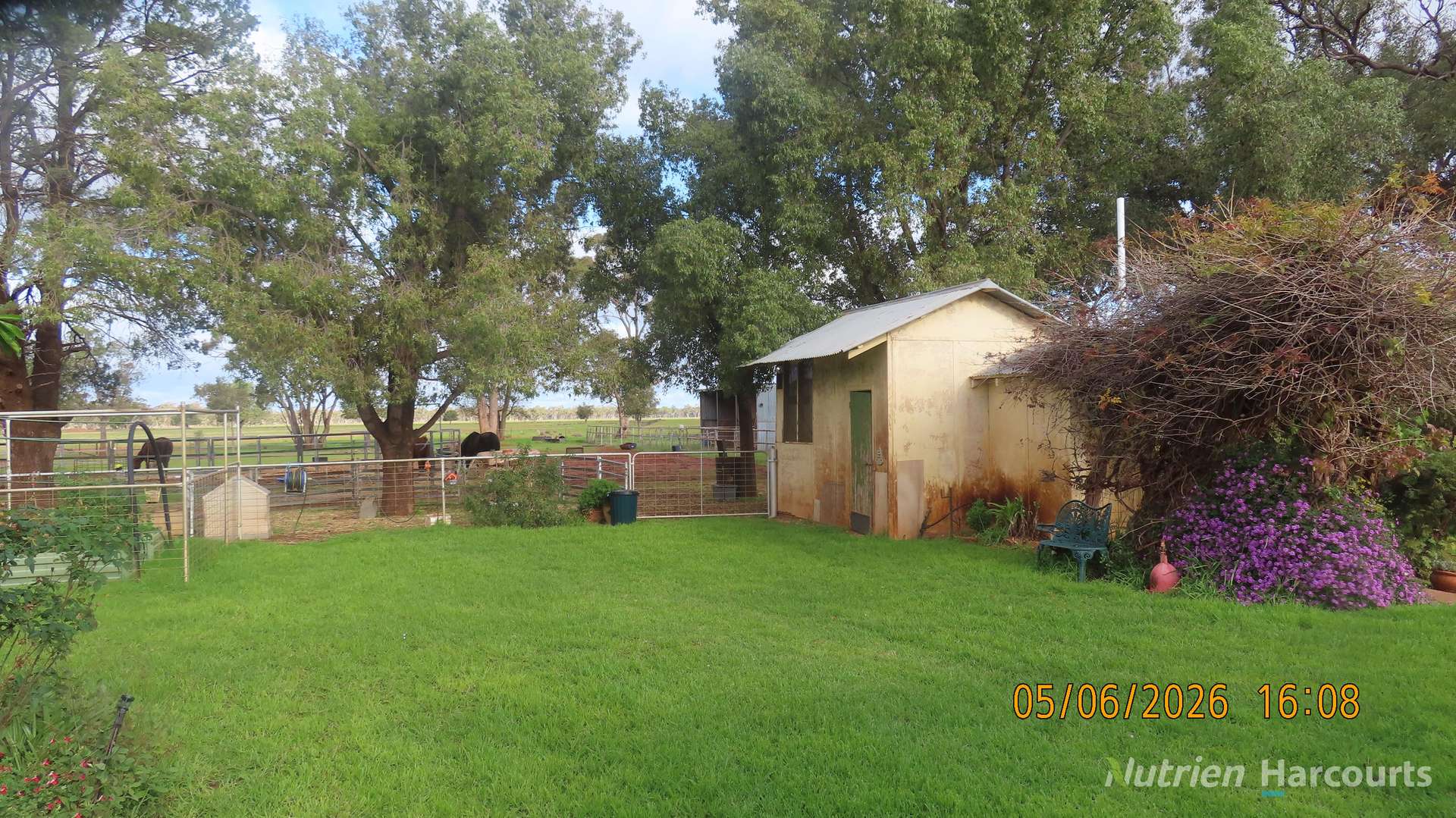 386 Sarona Downs Road, Hermidale For Sale by Farmbuy.com - image 14