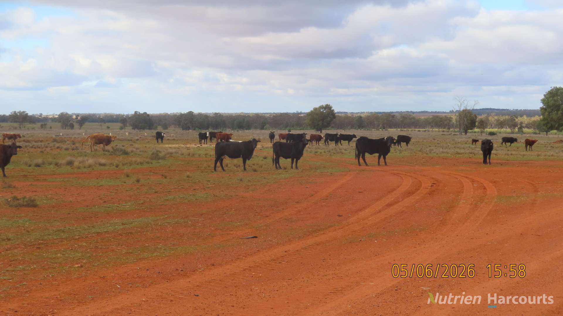 386 Sarona Downs Road, Hermidale For Sale by Farmbuy.com - image 10