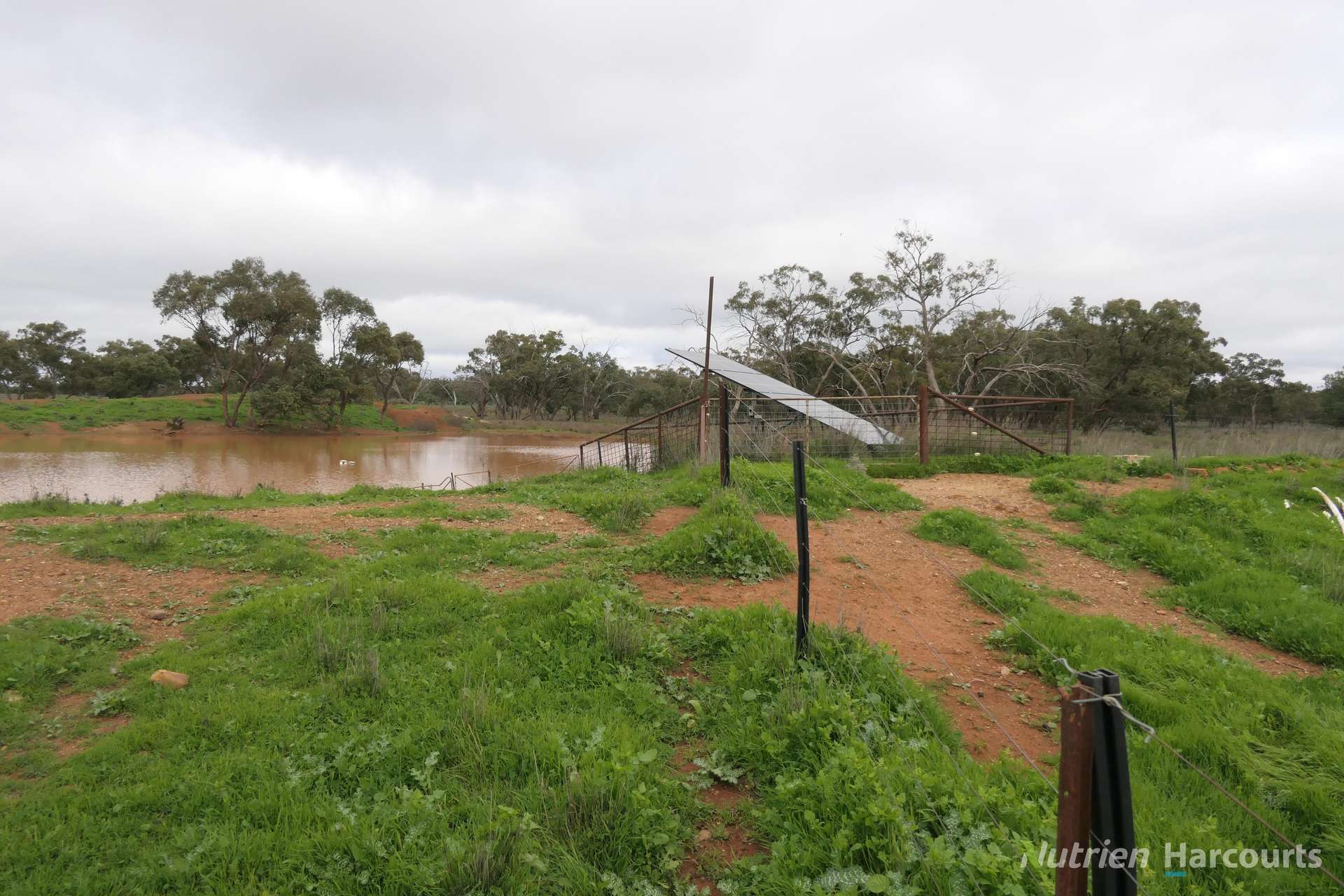 386 Sarona Downs Road, Hermidale For Sale by Farmbuy.com - image 22