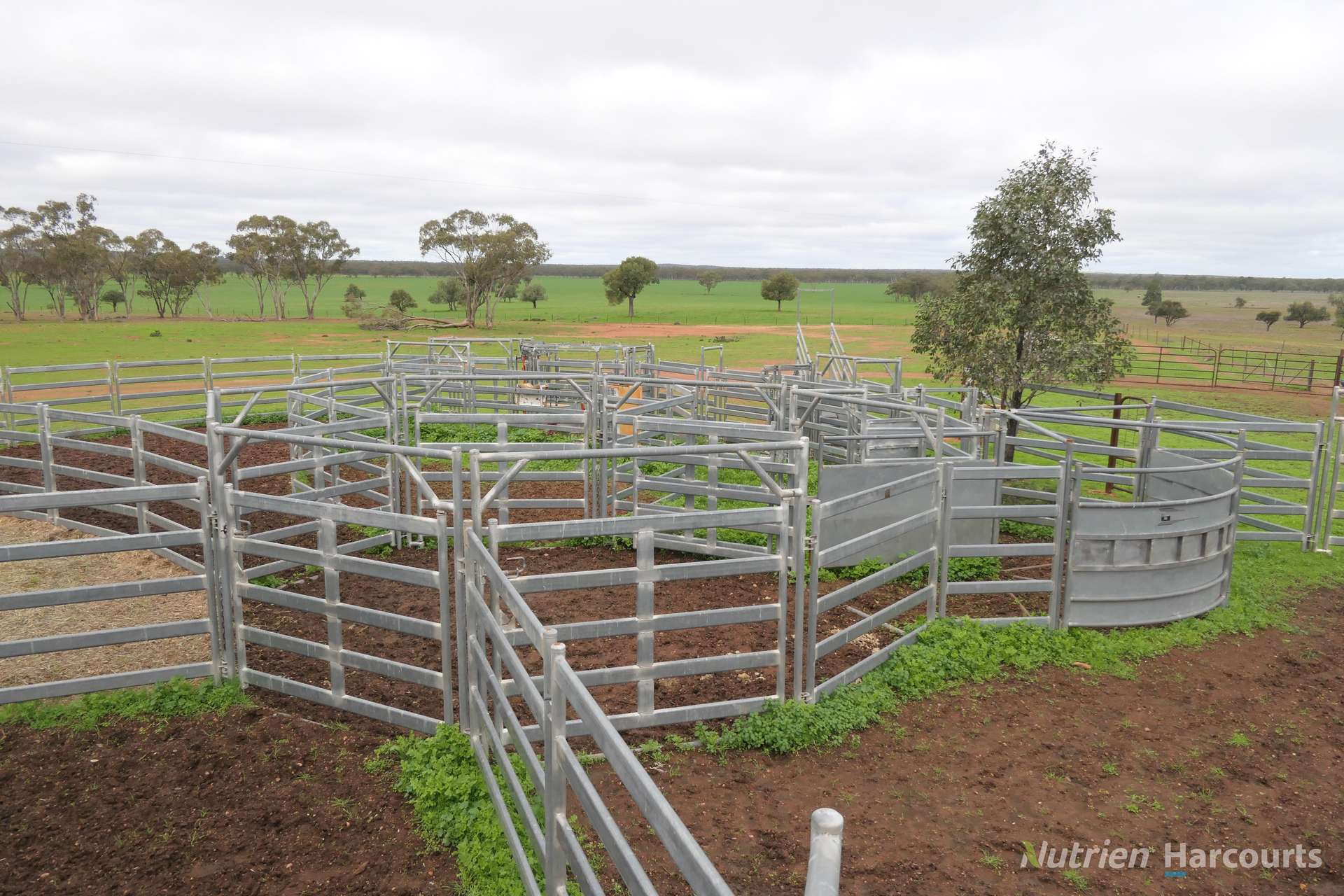 386 Sarona Downs Road, Hermidale For Sale by Farmbuy.com - image 29