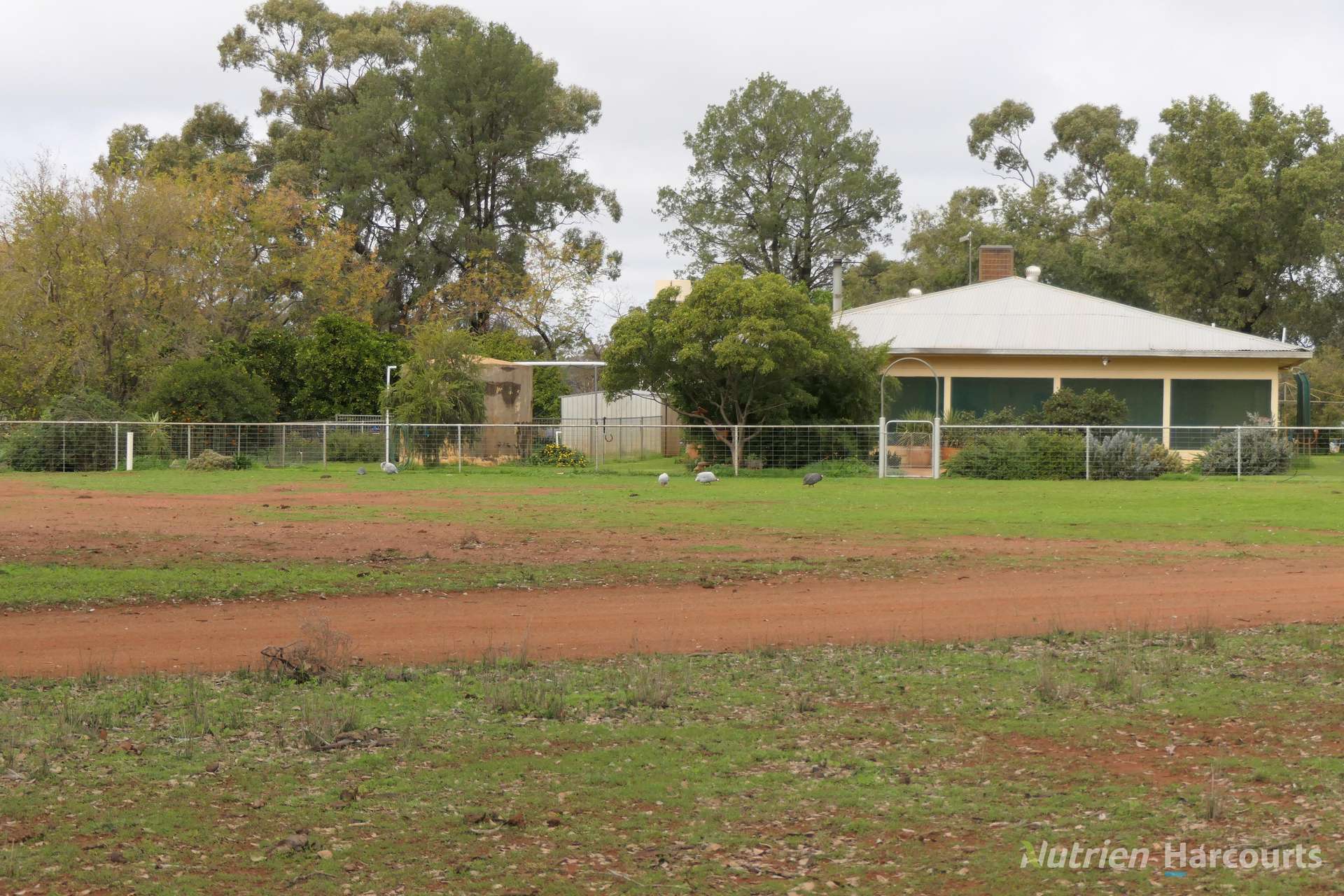 386 Sarona Downs Road, Hermidale For Sale by Farmbuy.com - image 31
