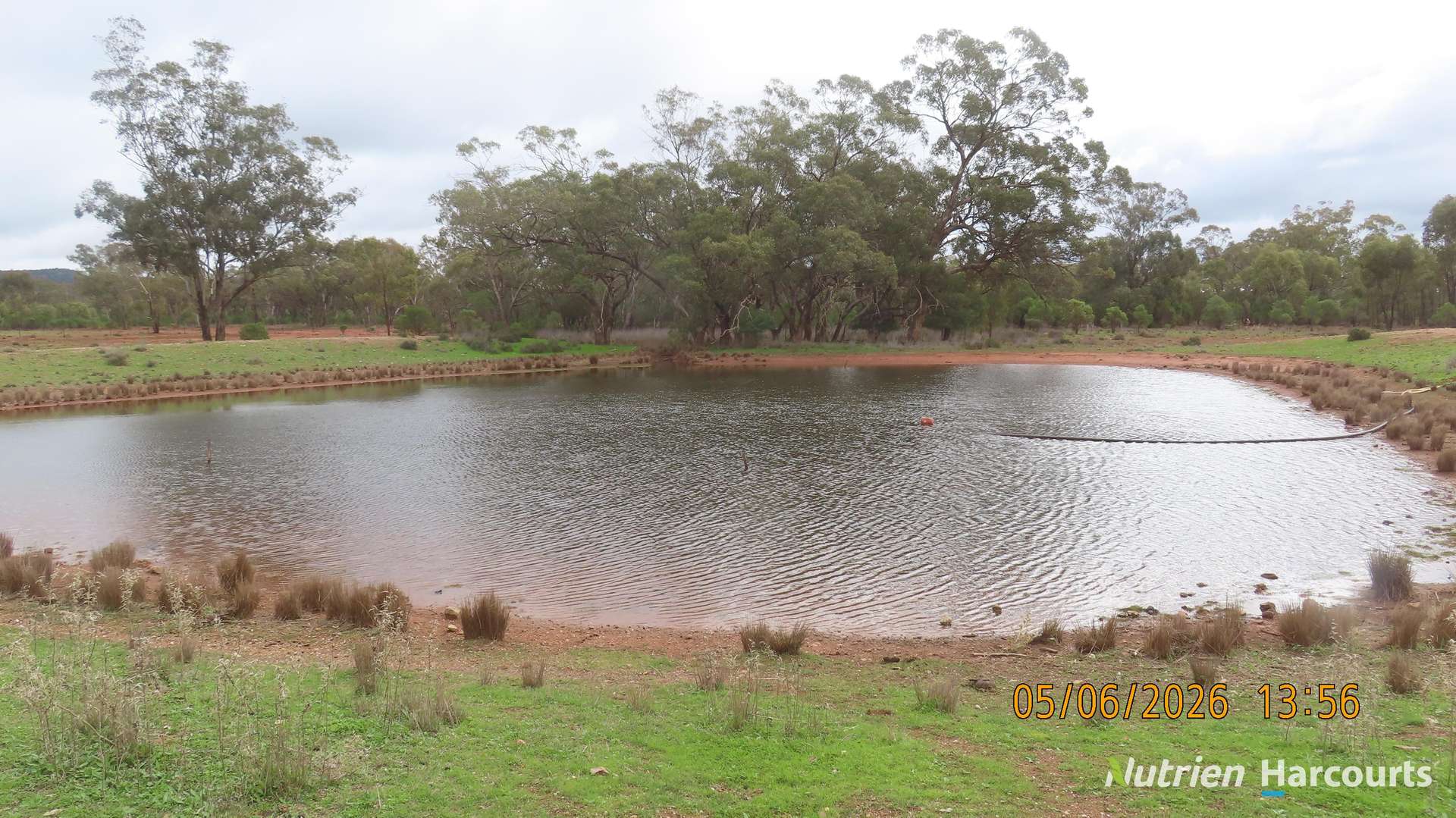 386 Sarona Downs Road, Hermidale For Sale by Farmbuy.com - image 6