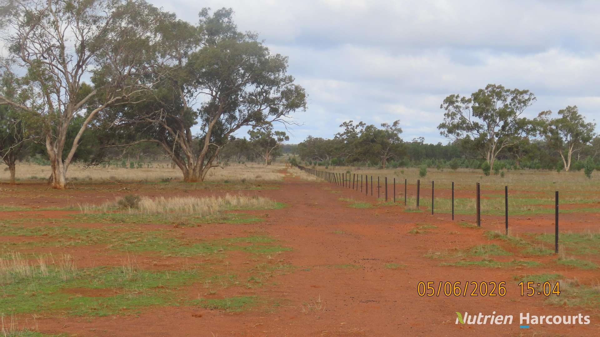 386 Sarona Downs Road, Hermidale For Sale by Farmbuy.com - image 9