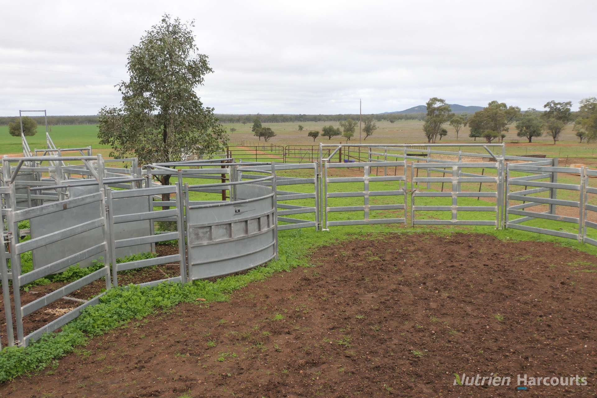 386 Sarona Downs Road, Hermidale For Sale by Farmbuy.com - image 27