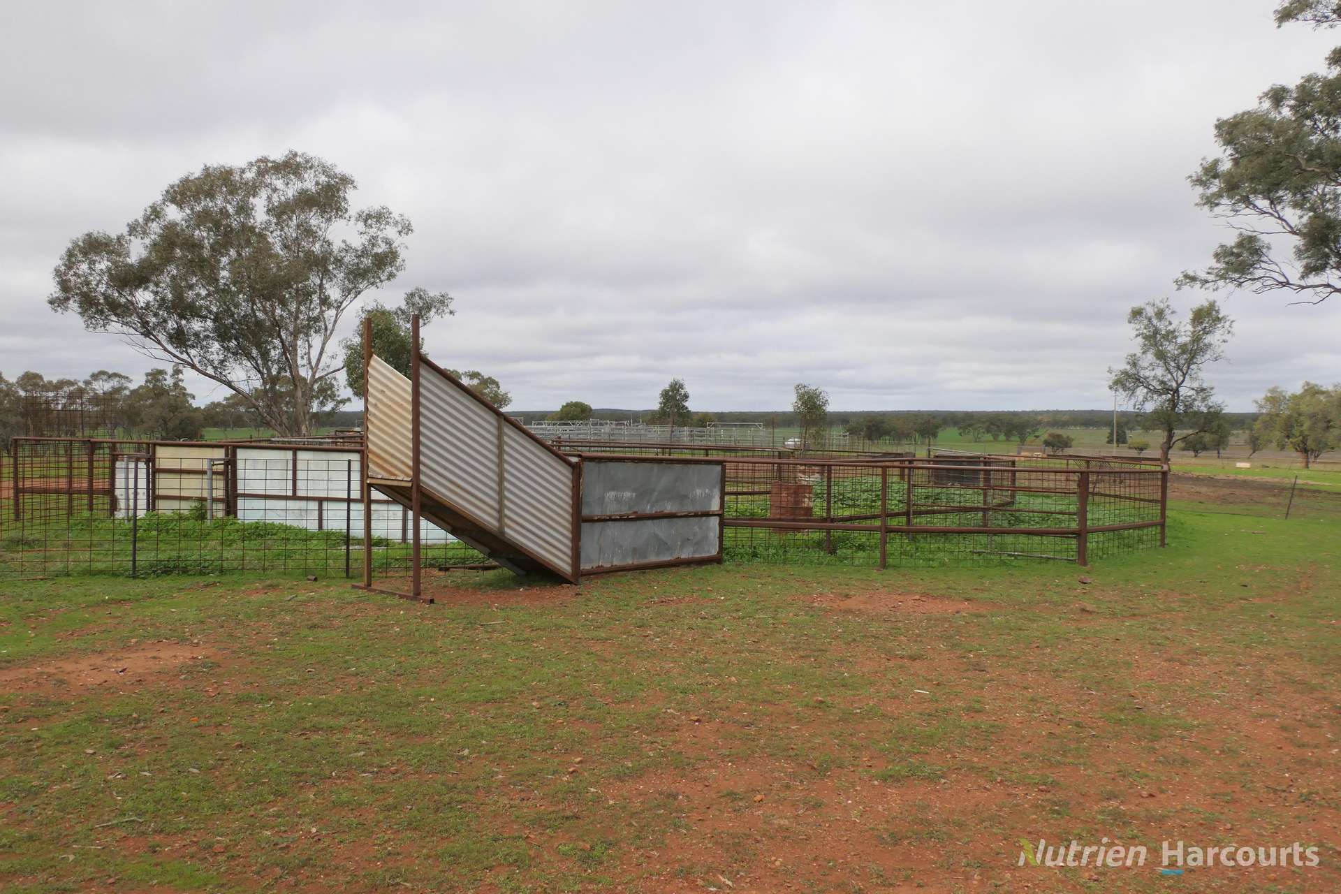 386 Sarona Downs Road, Hermidale For Sale by Farmbuy.com - image 30