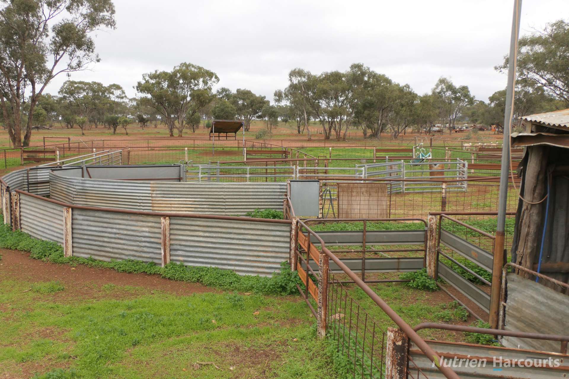 386 Sarona Downs Road, Hermidale For Sale by Farmbuy.com - image 24