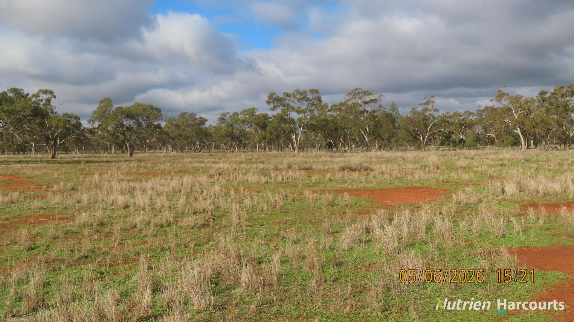 386 Sarona Downs Road, Hermidale For Sale by Farmbuy.com - image 10