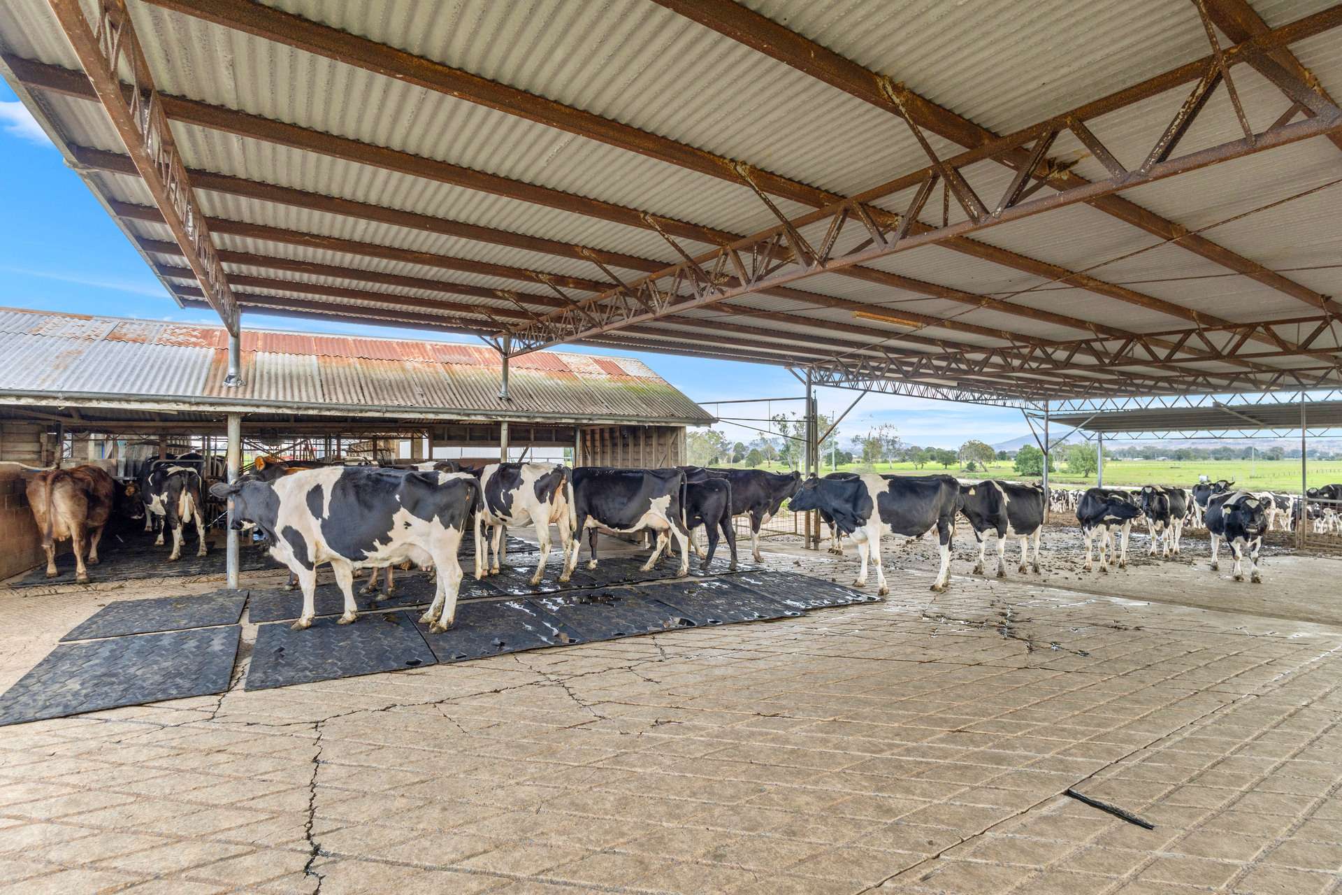 78 Teese Road, Gleneagle For Sale by Farmbuy.com - image 6