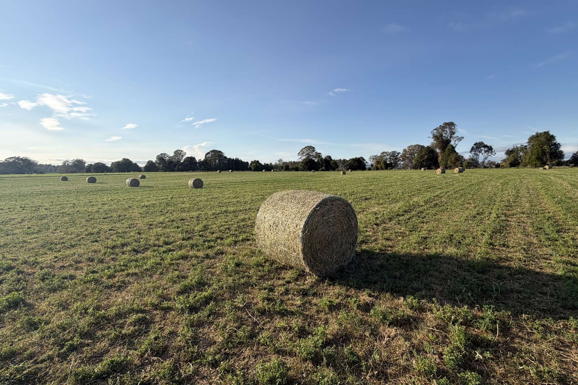 78 Teese Road, Gleneagle For Sale by Farmbuy.com - image 26