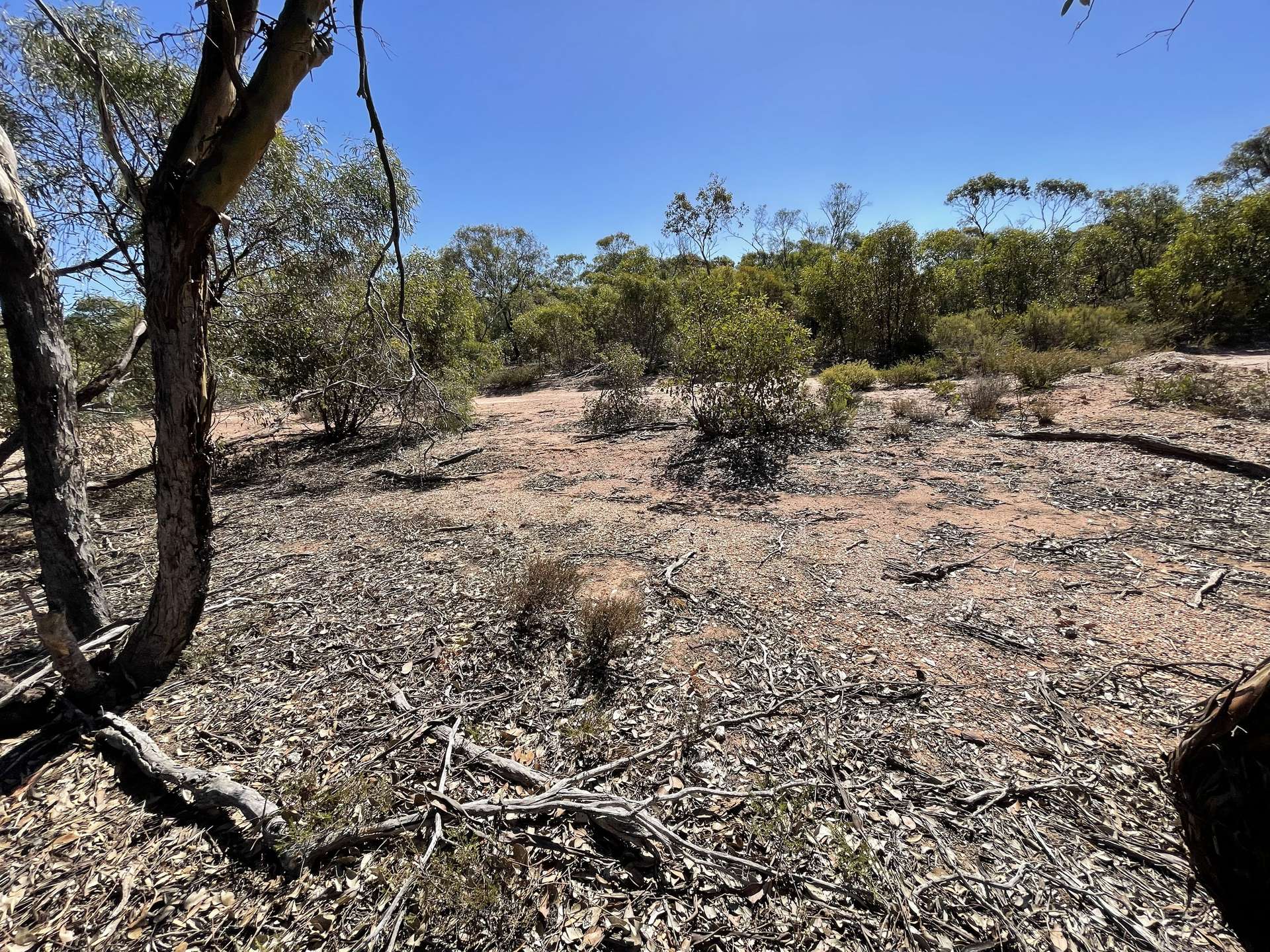 Lot CA, 36B Verdon Street, Inglewood For Sale by Farmbuy.com - image 4