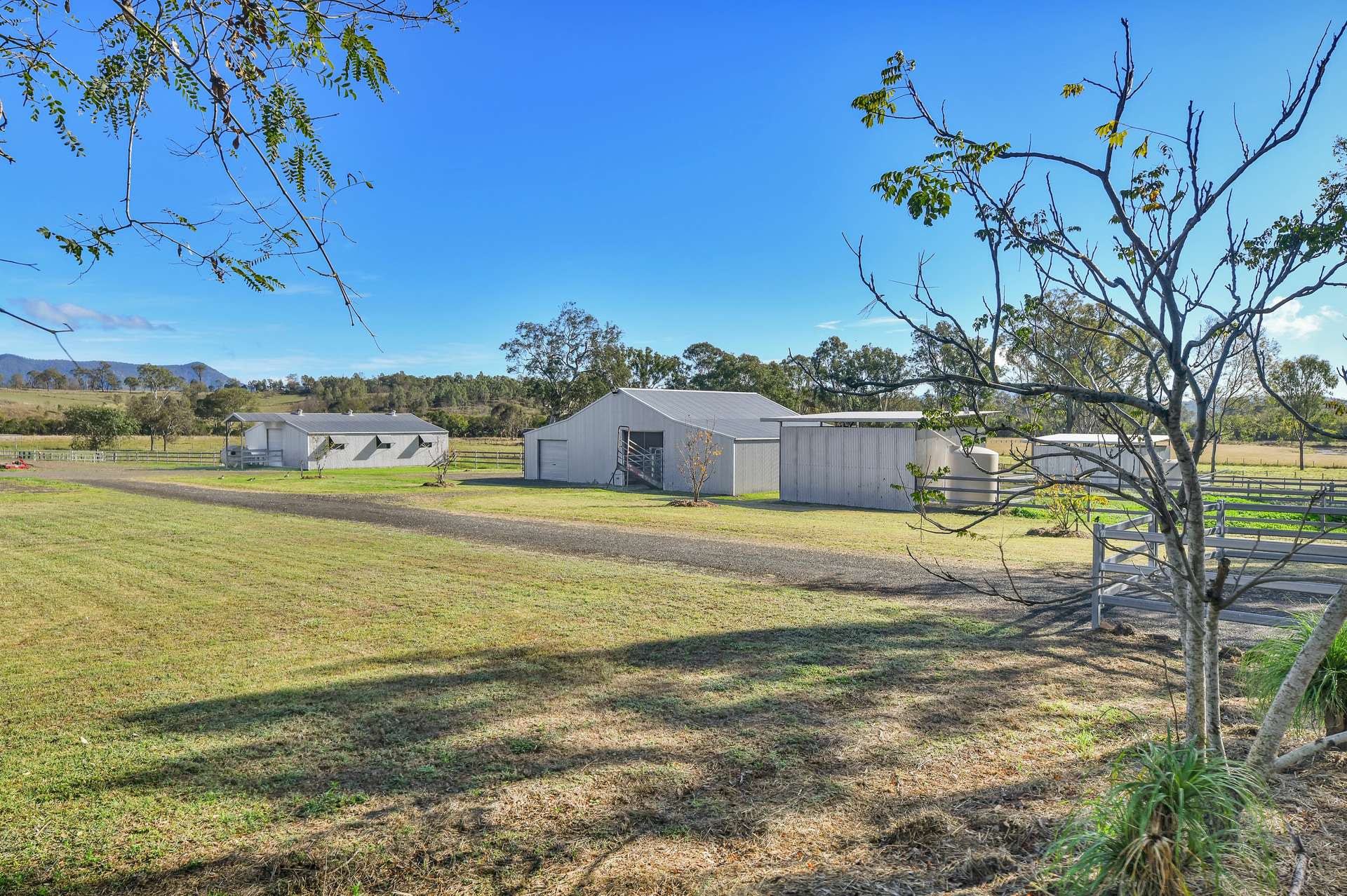 1578 Boonah Rathdowney Road, Coochin For Sale by Farmbuy.com - image 5
