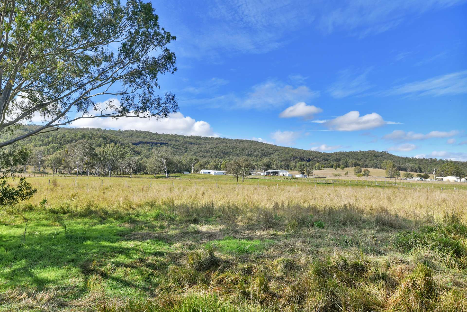 1578 Boonah Rathdowney Road, Coochin For Sale by Farmbuy.com - image 14