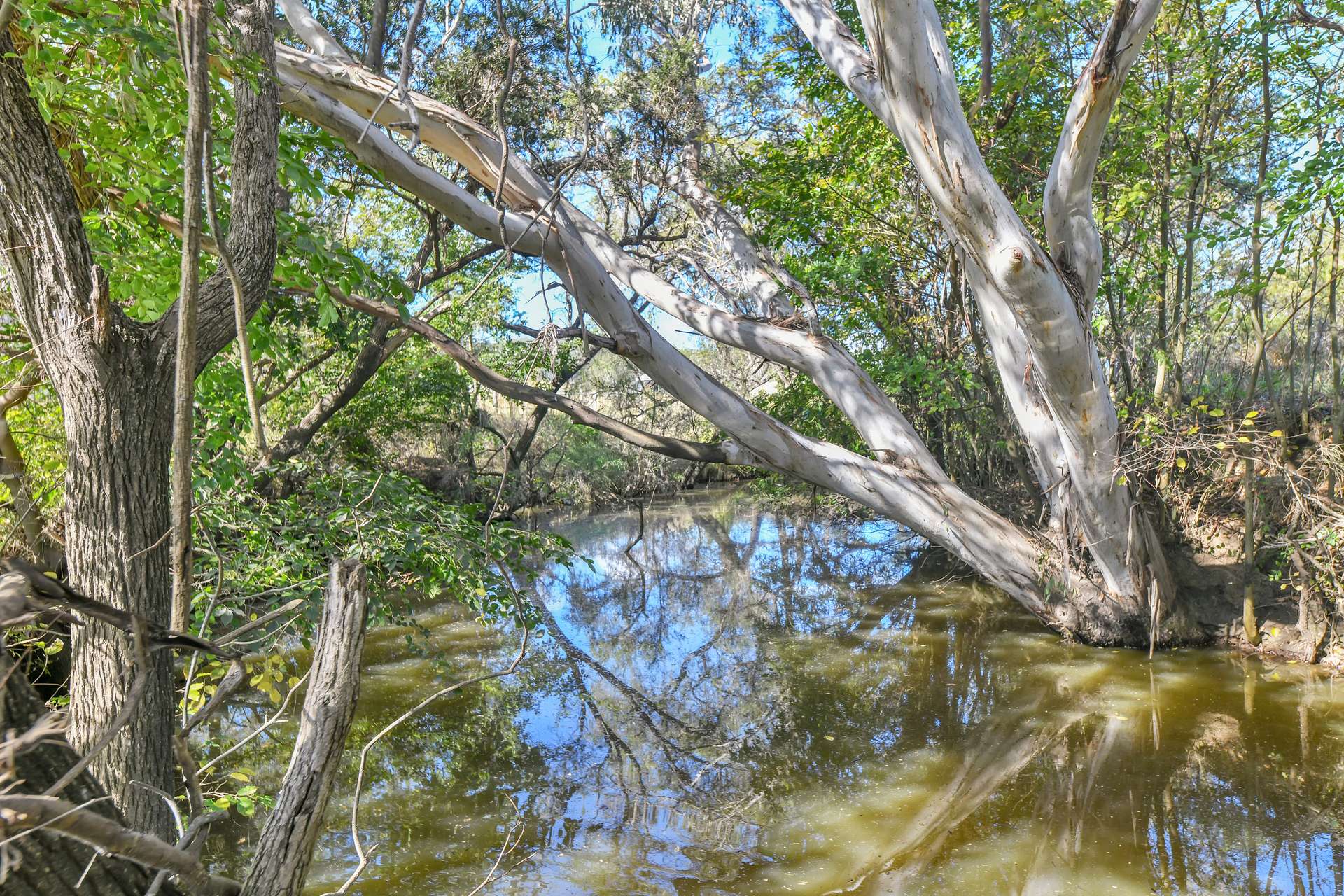 1578 Boonah Rathdowney Road, Coochin For Sale by Farmbuy.com - image 16