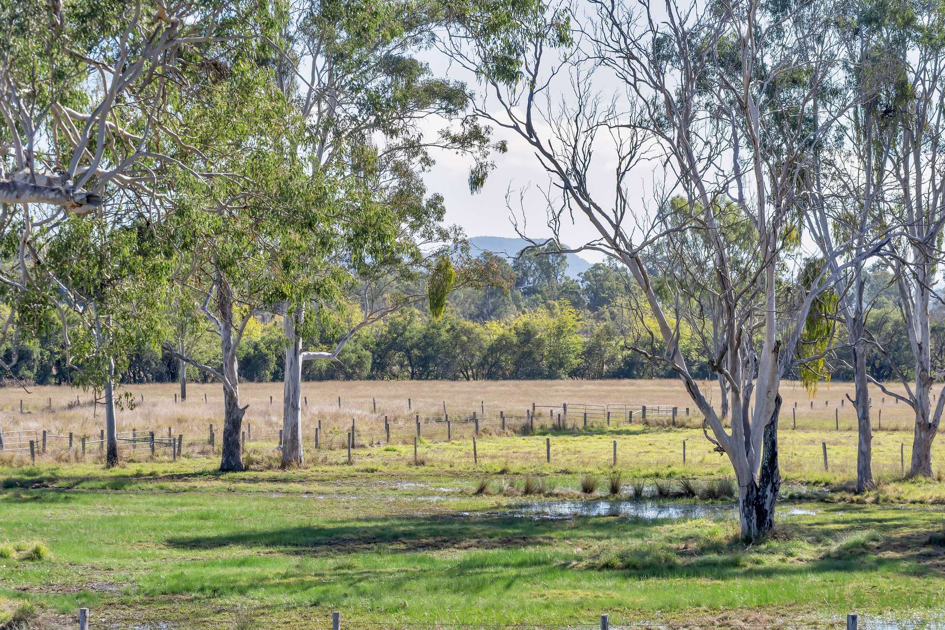 1578 Boonah Rathdowney Road, Coochin For Sale by Farmbuy.com - image 17