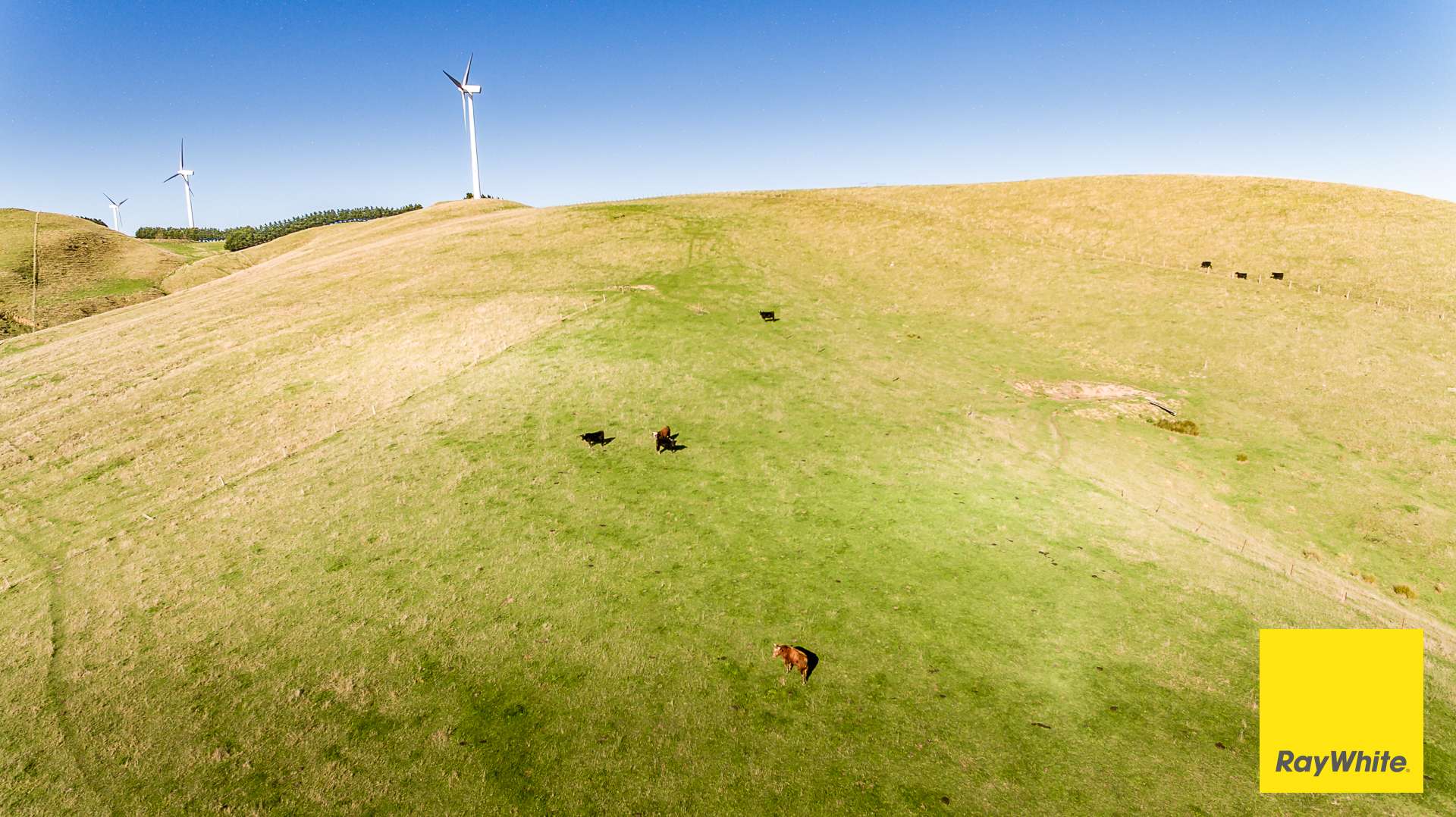 110 Creamery Valley Rd, Toora For Sale by Farmbuy.com - image 4
