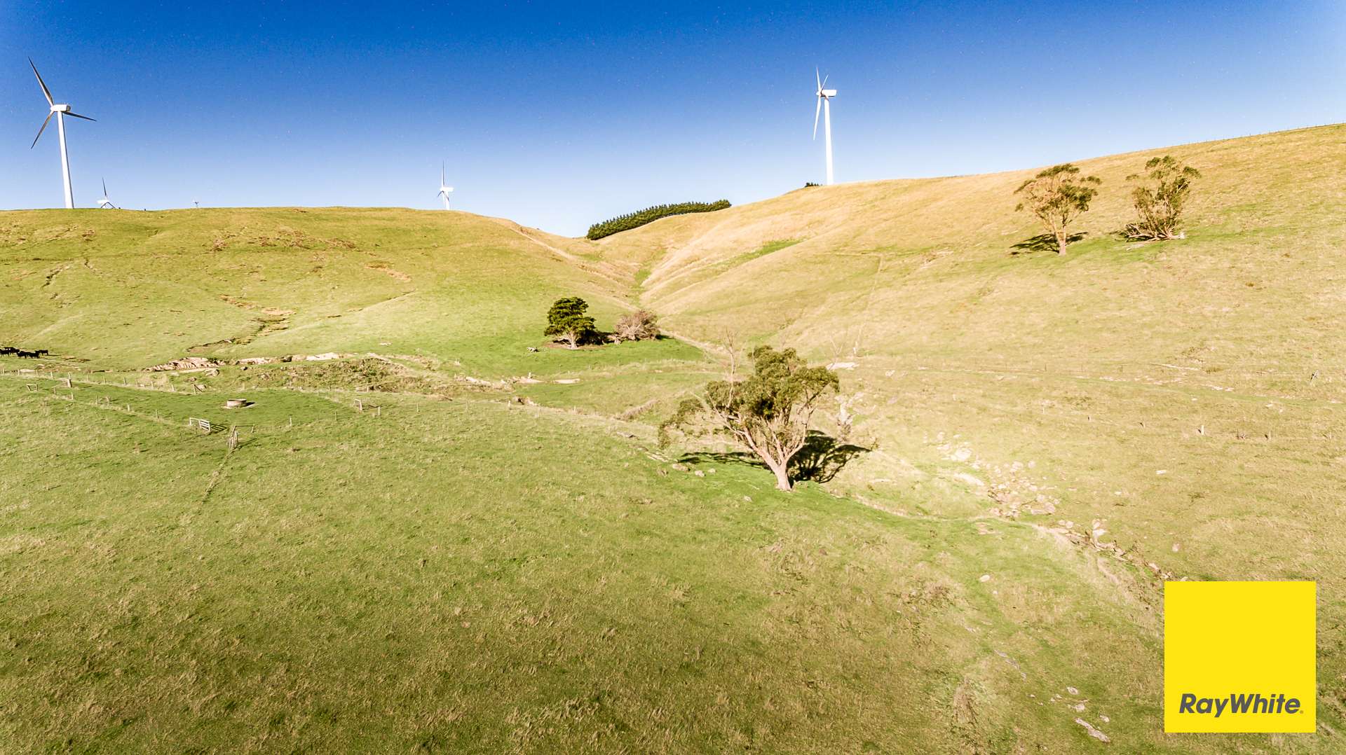 110 Creamery Valley Rd, Toora For Sale by Farmbuy.com - image 6