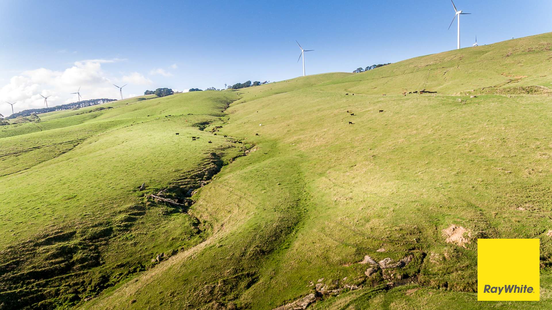 110 Creamery Valley Rd, Toora For Sale by Farmbuy.com - image 5