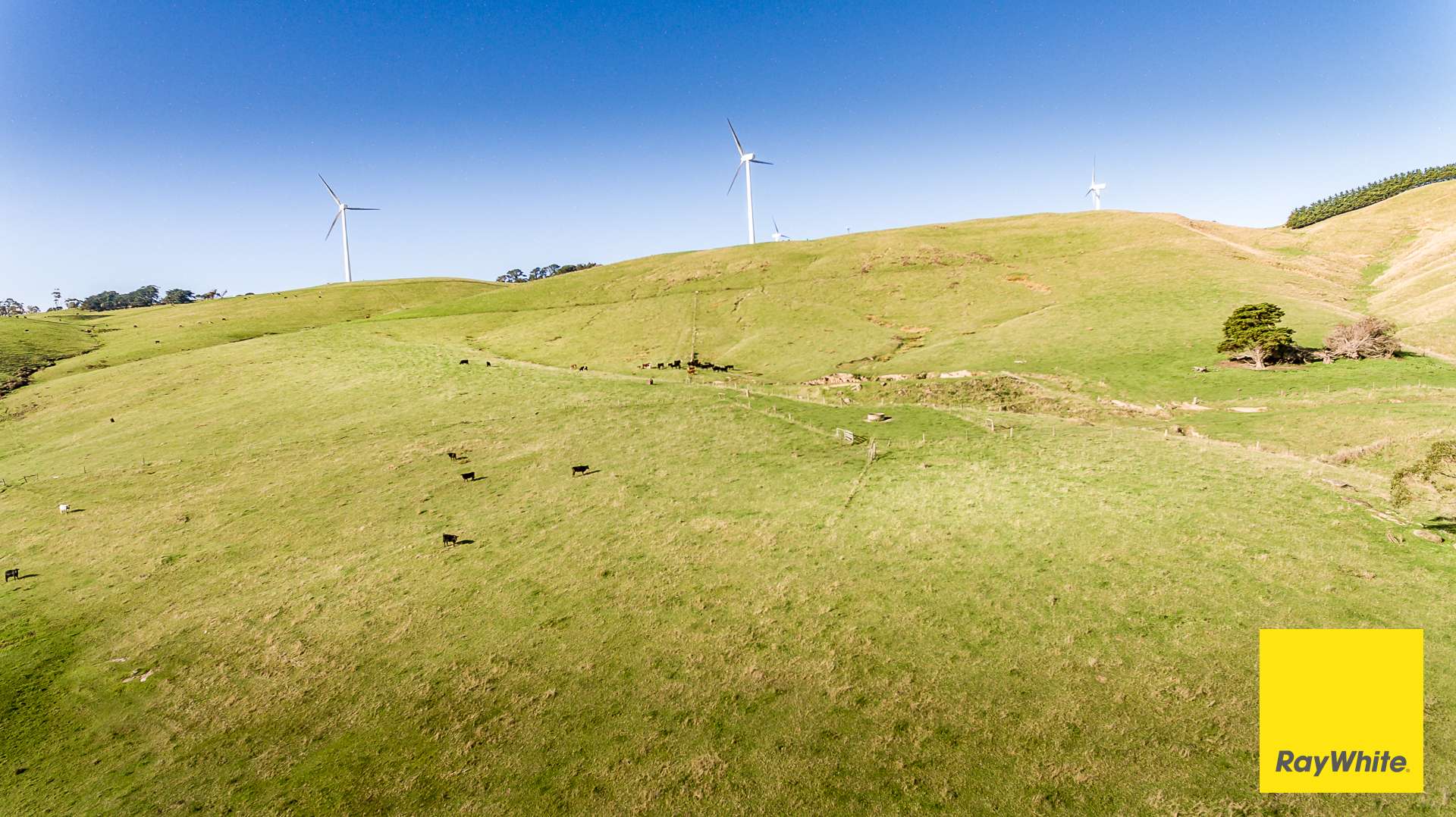 110 Creamery Valley Rd, Toora For Sale by Farmbuy.com - image 3