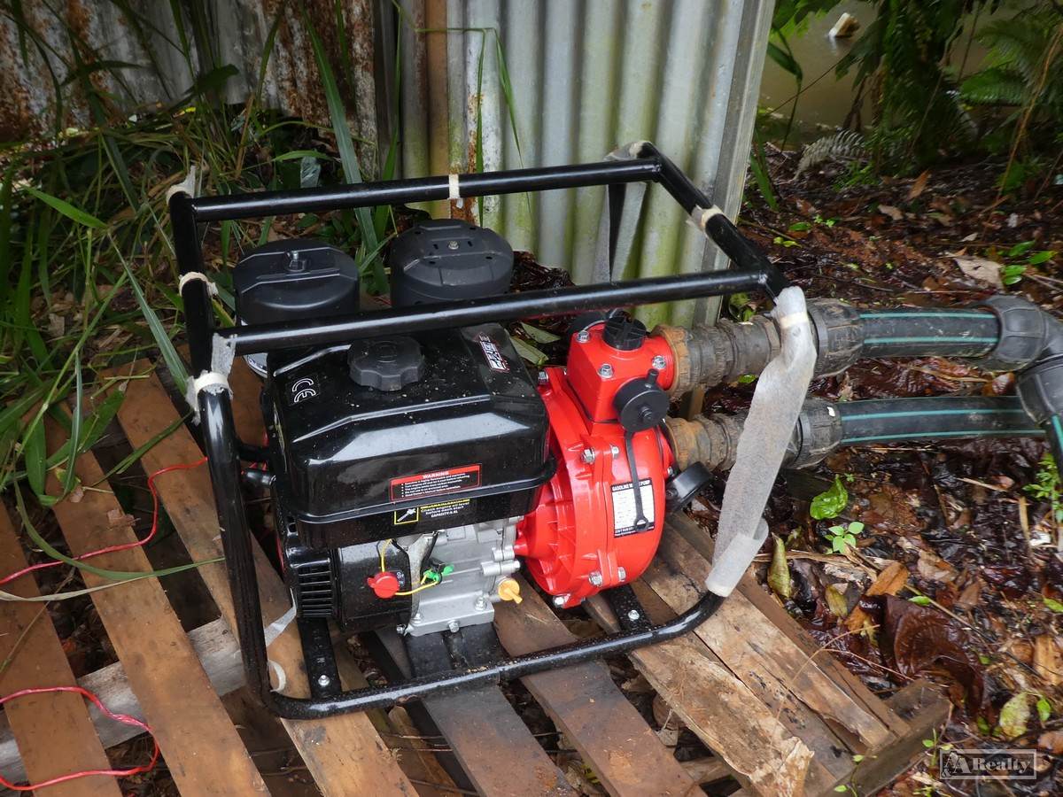 Nerada For Sale by Farmbuy.com - image 11