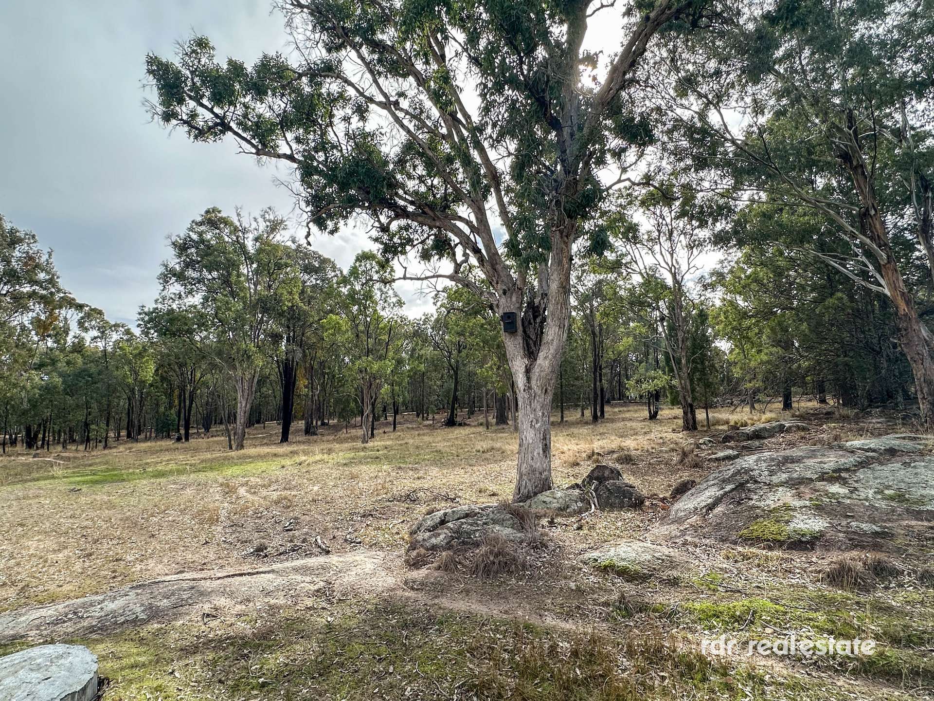 619 Old Bundarra Road, Inverell For Sale by Farmbuy.com - image 23