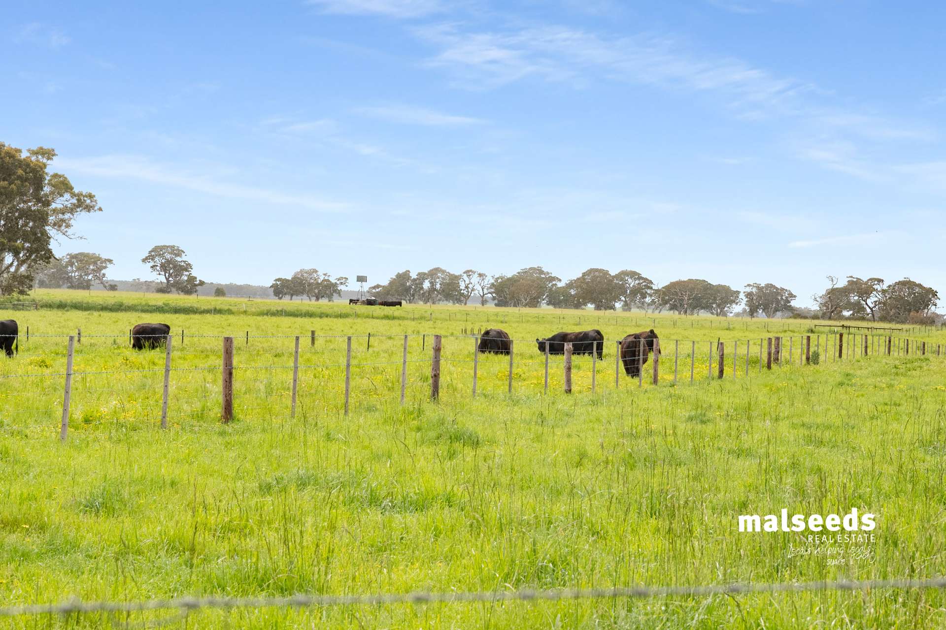 Mingbool Road, Mingbool For Sale by Farmbuy.com - image 35