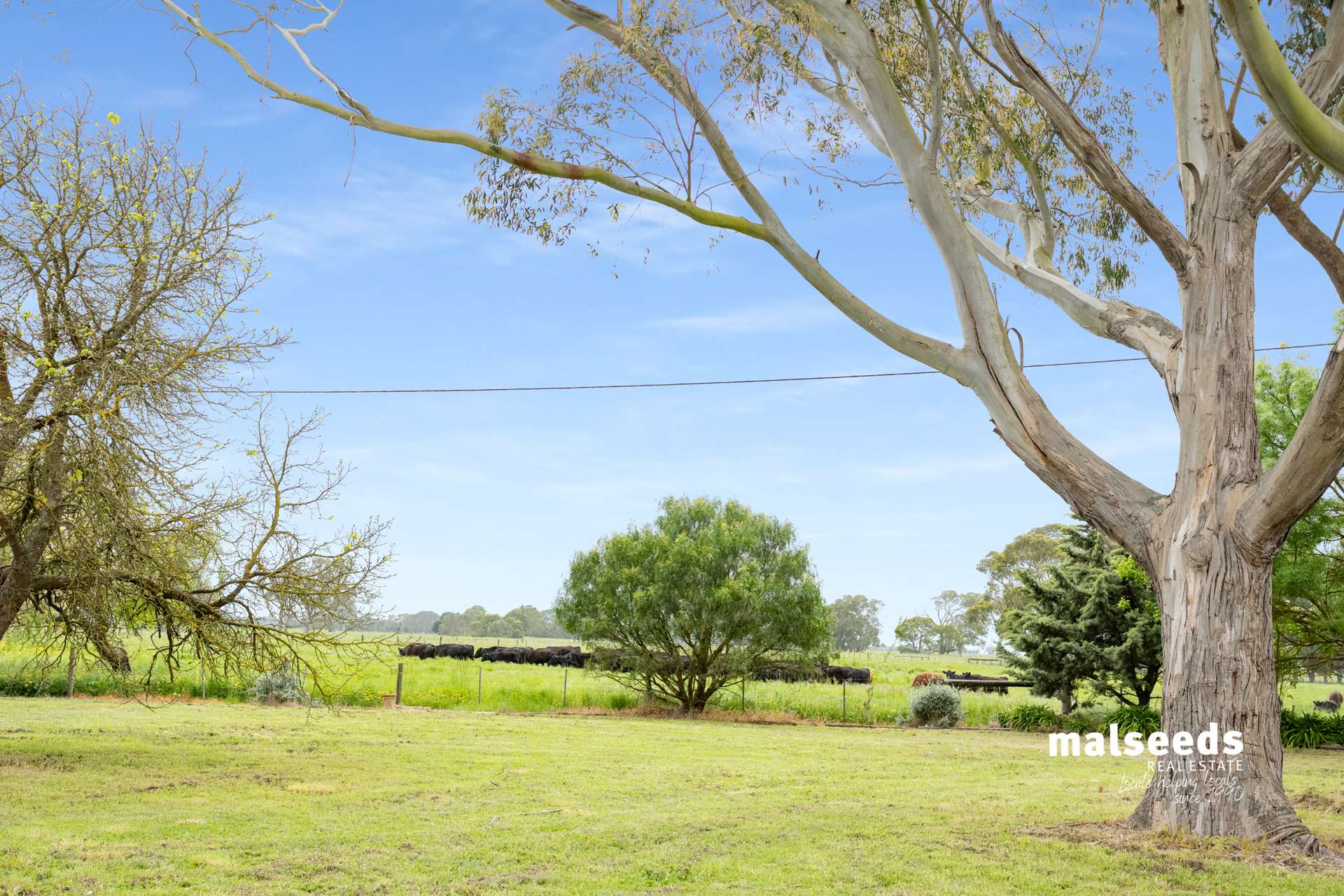 Mingbool Road, Mingbool For Sale by Farmbuy.com - image 30