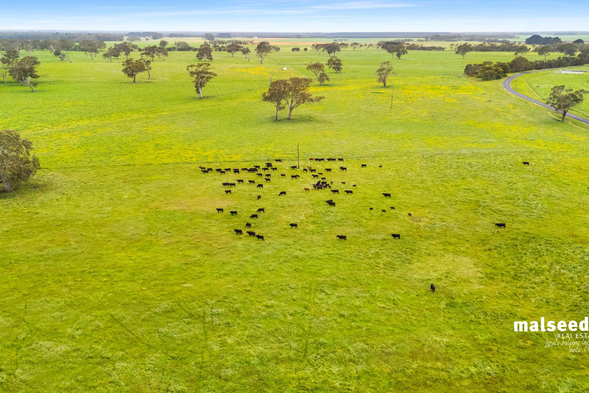 Mingbool Road, Mingbool For Sale by Farmbuy.com - image 32