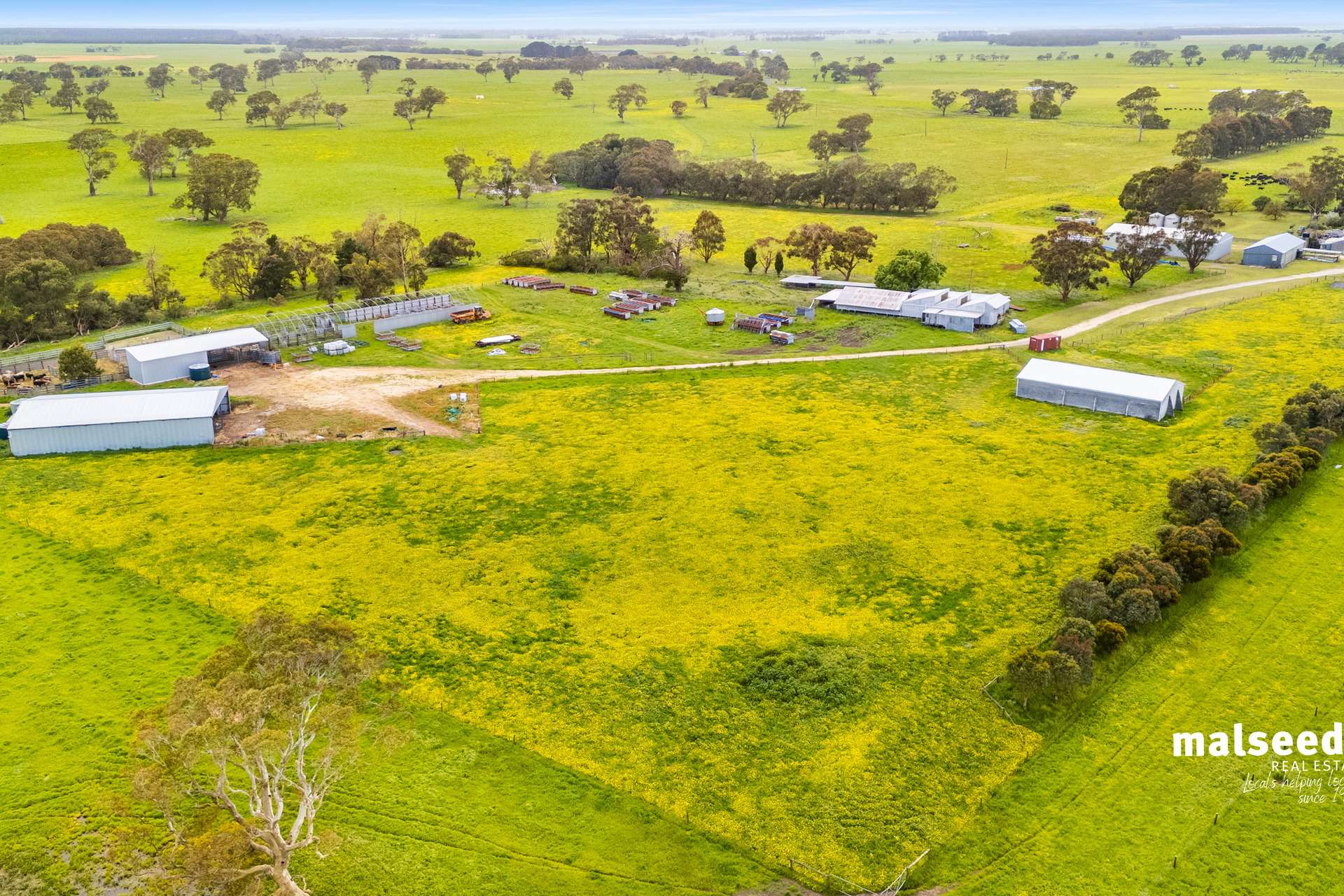 Mingbool Road, Mingbool For Sale by Farmbuy.com - image 10