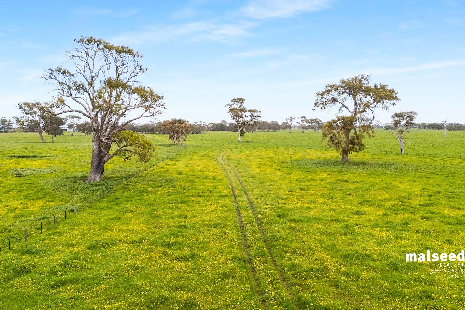 Mingbool Road, Mingbool For Sale by Farmbuy.com - image 34