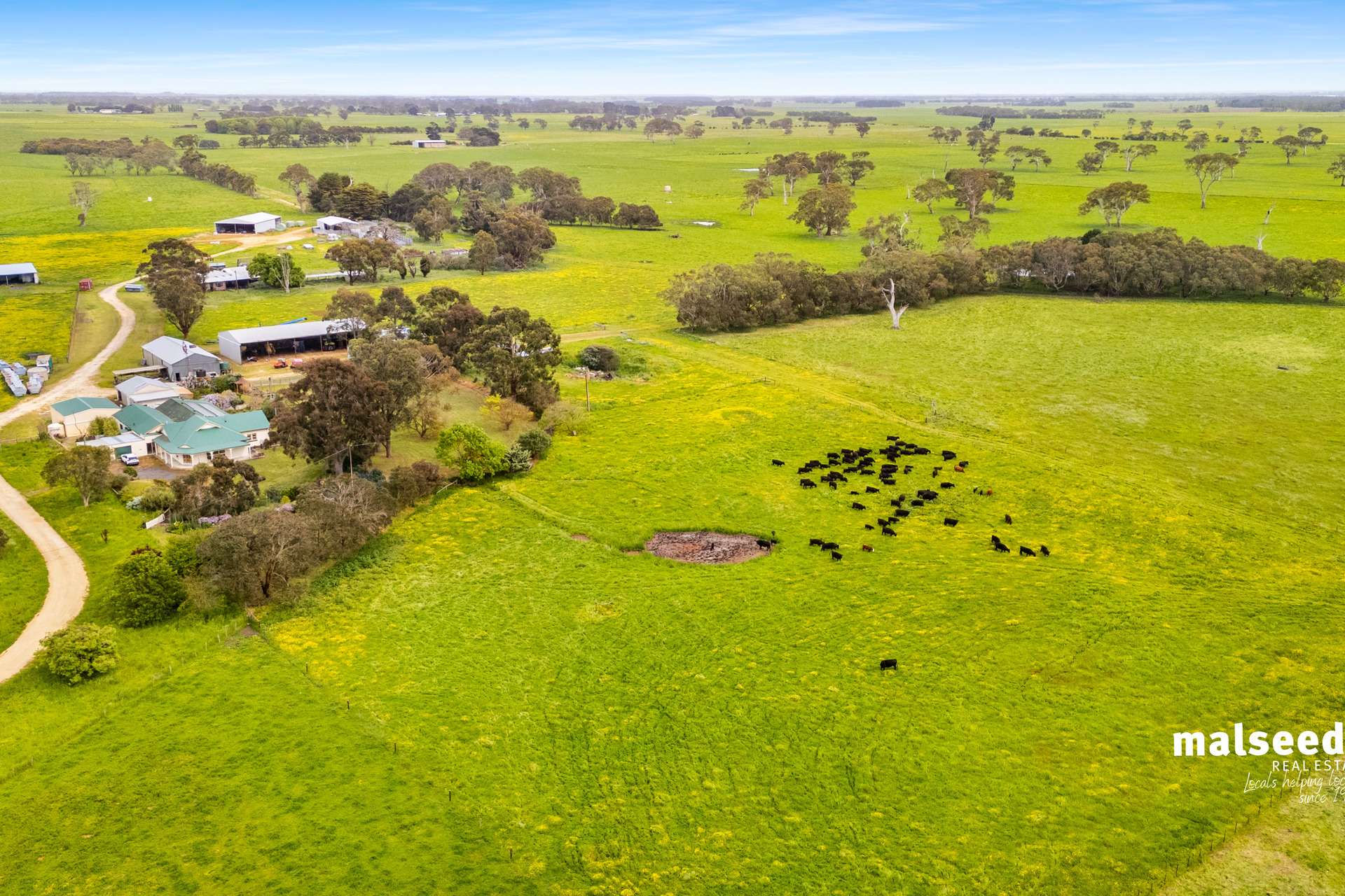 Mingbool Road, Mingbool For Sale by Farmbuy.com - image 2