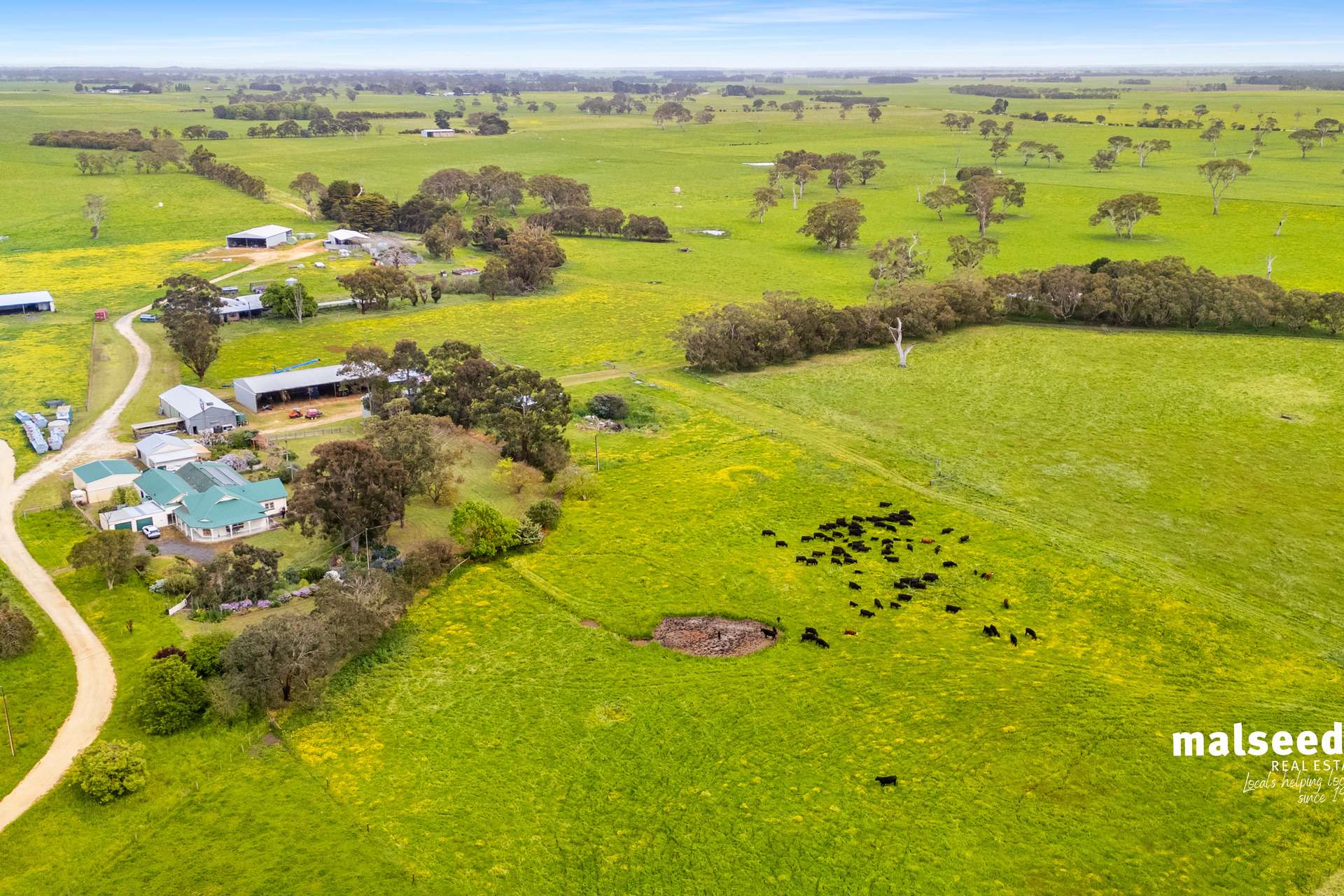 Mingbool Road, Mingbool For Sale by Farmbuy.com - image 9