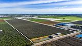 306 Taylors Road, Virginia For Sale by CBRE Agribusiness