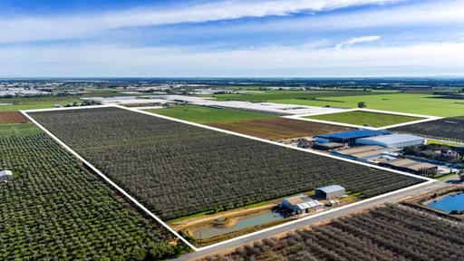 Farm For Sale - SA - Virginia - 5120 - Prime Adelaide Plains Land Portfolio 
