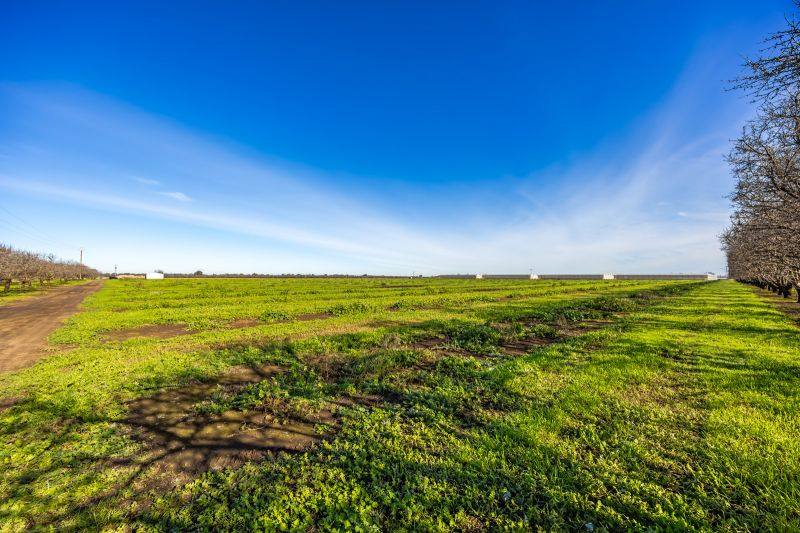 306 Taylors Road, Virginia For Sale by Farmbuy.com - image 19